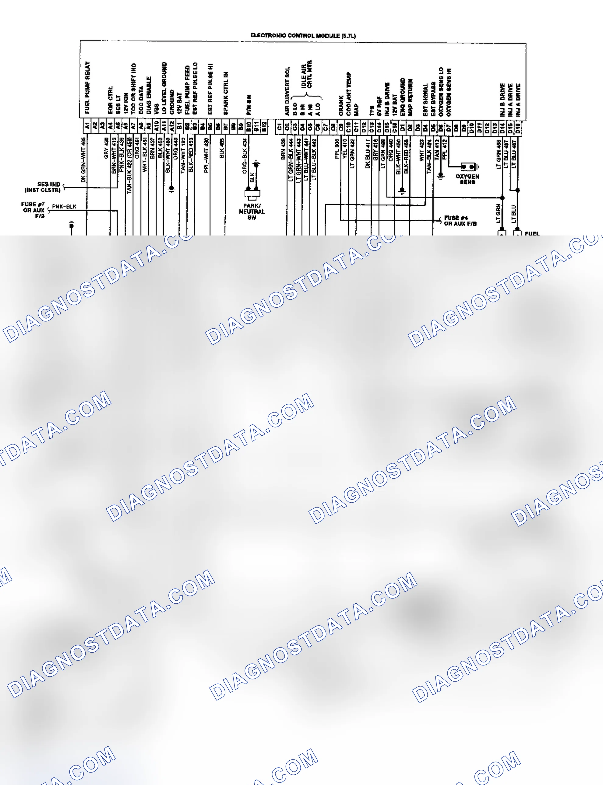 Scheme 19: "P" Series TBI/CCC Wiring Diagram
