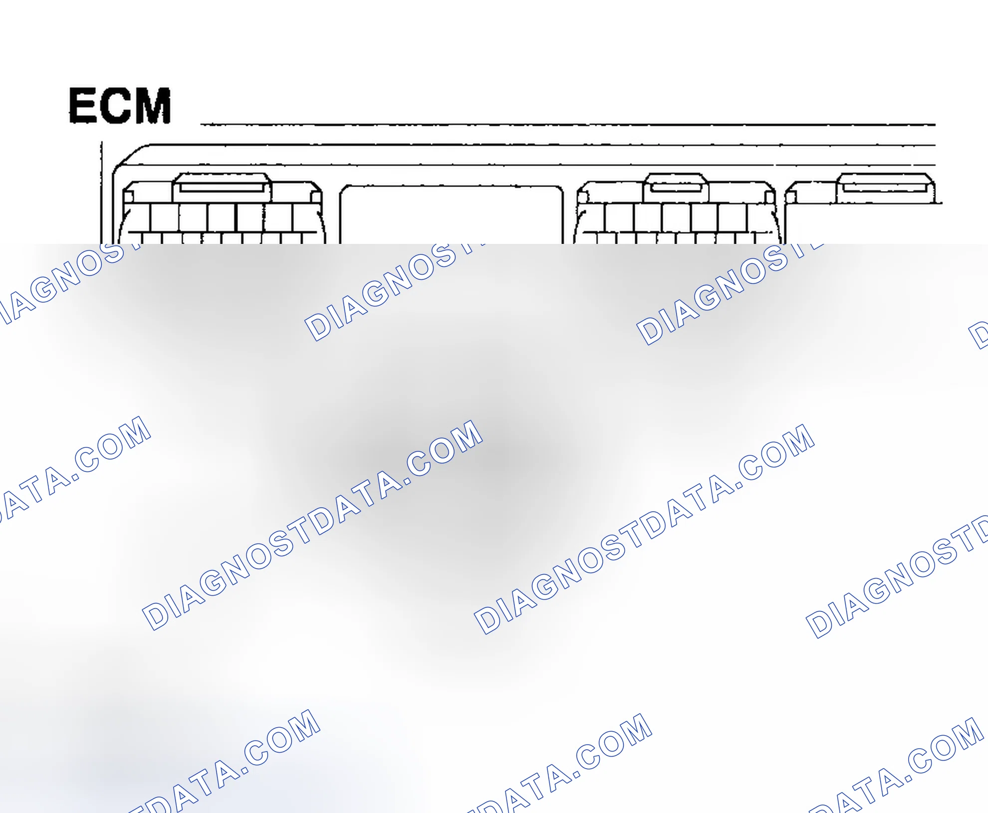 Scheme 445