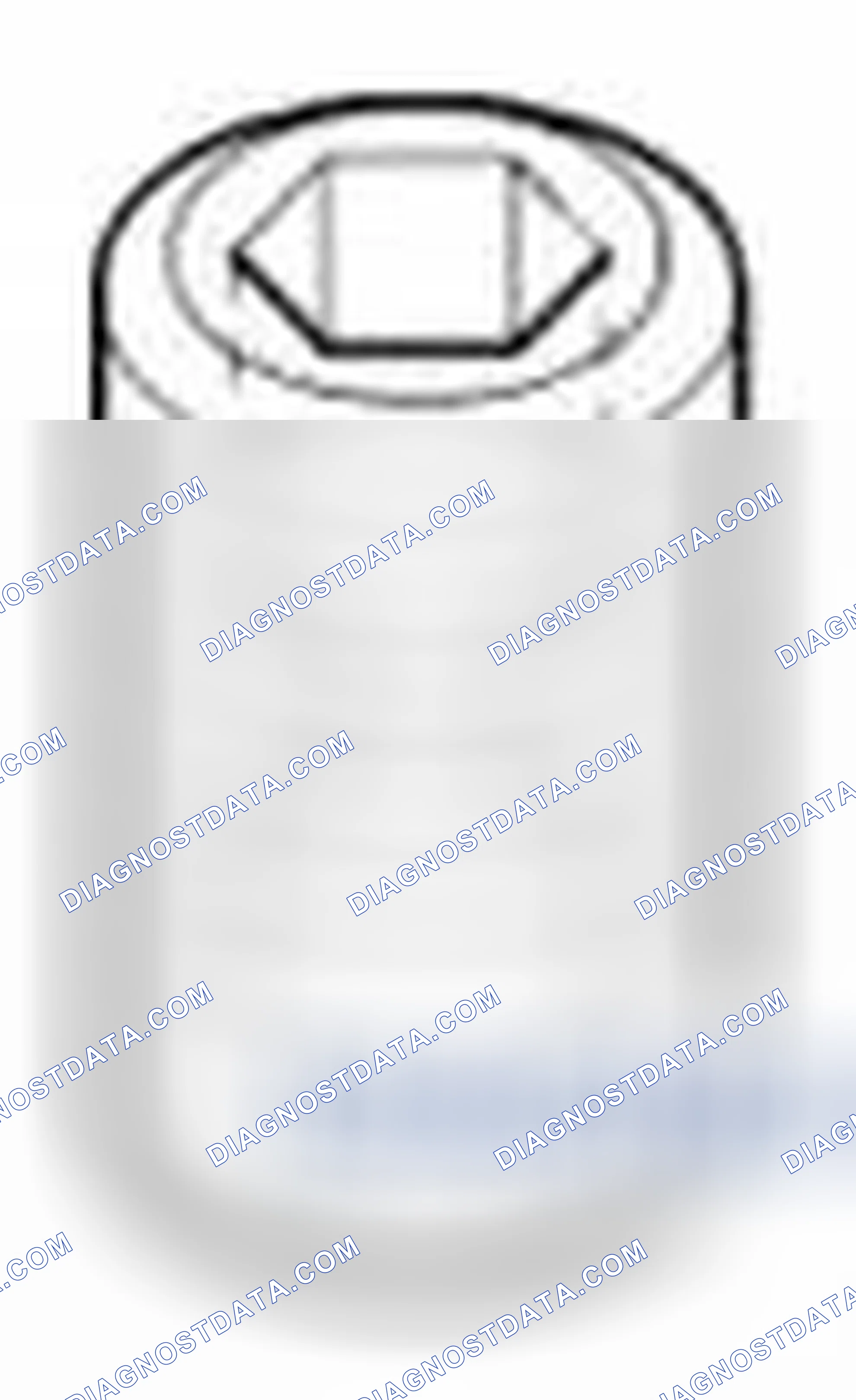 Scheme 13: Venturi Plug Inspection