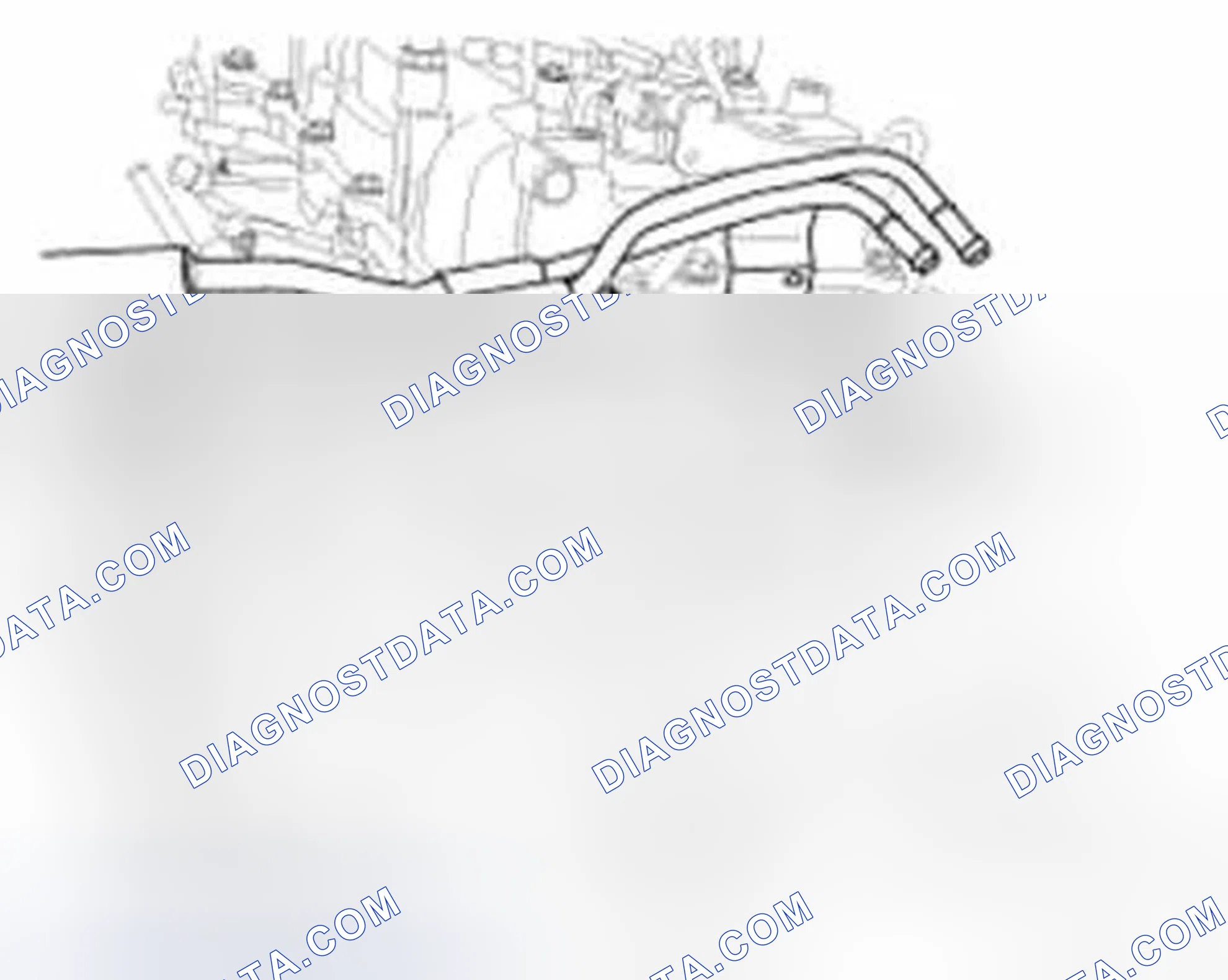 Scheme 382
