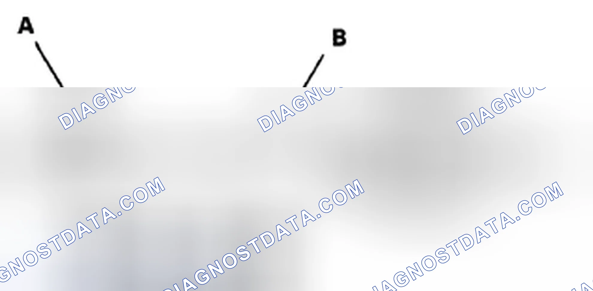 Scheme 172