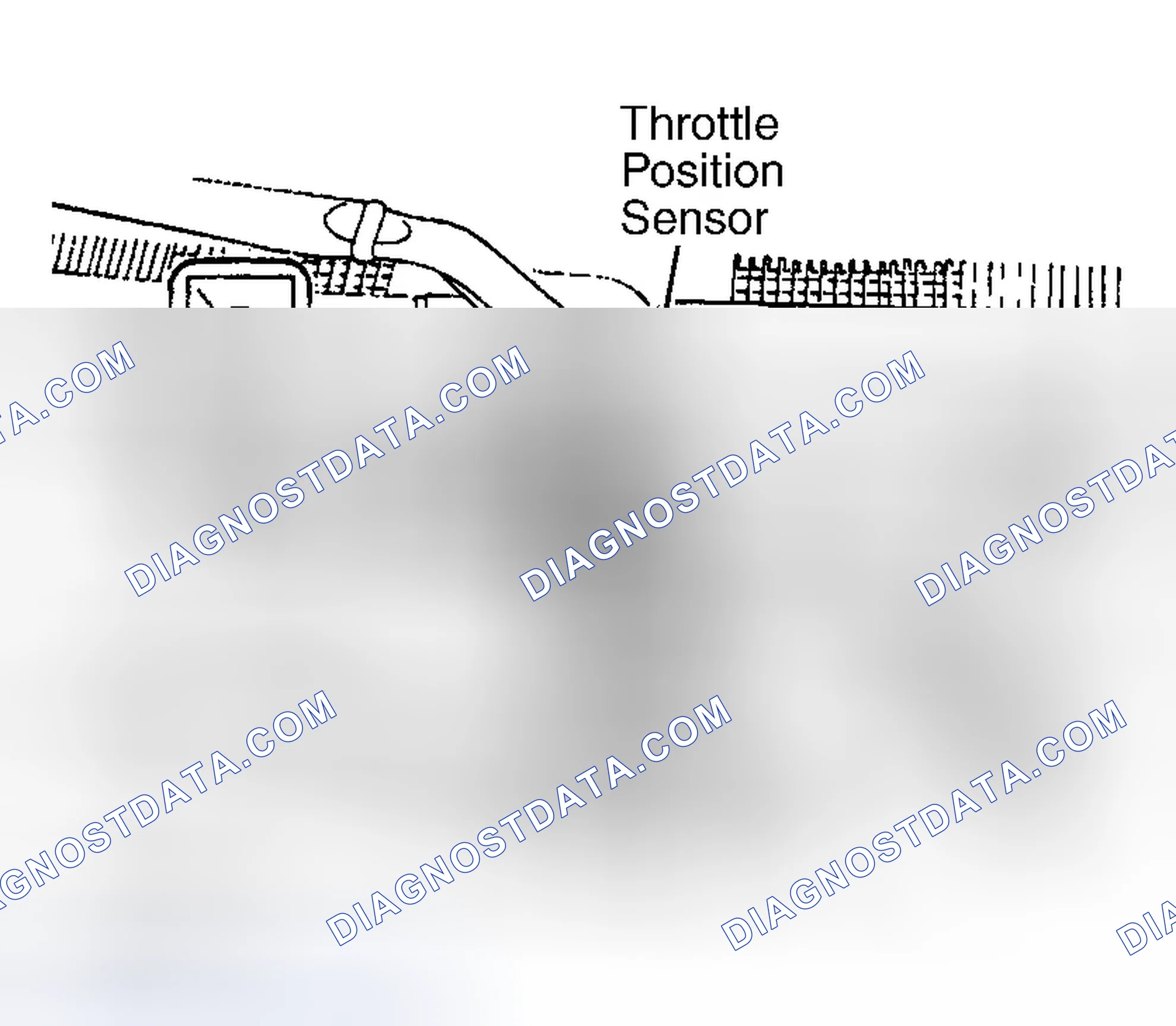Scheme 3: Optima & Magentis (Canadian) 2.4L