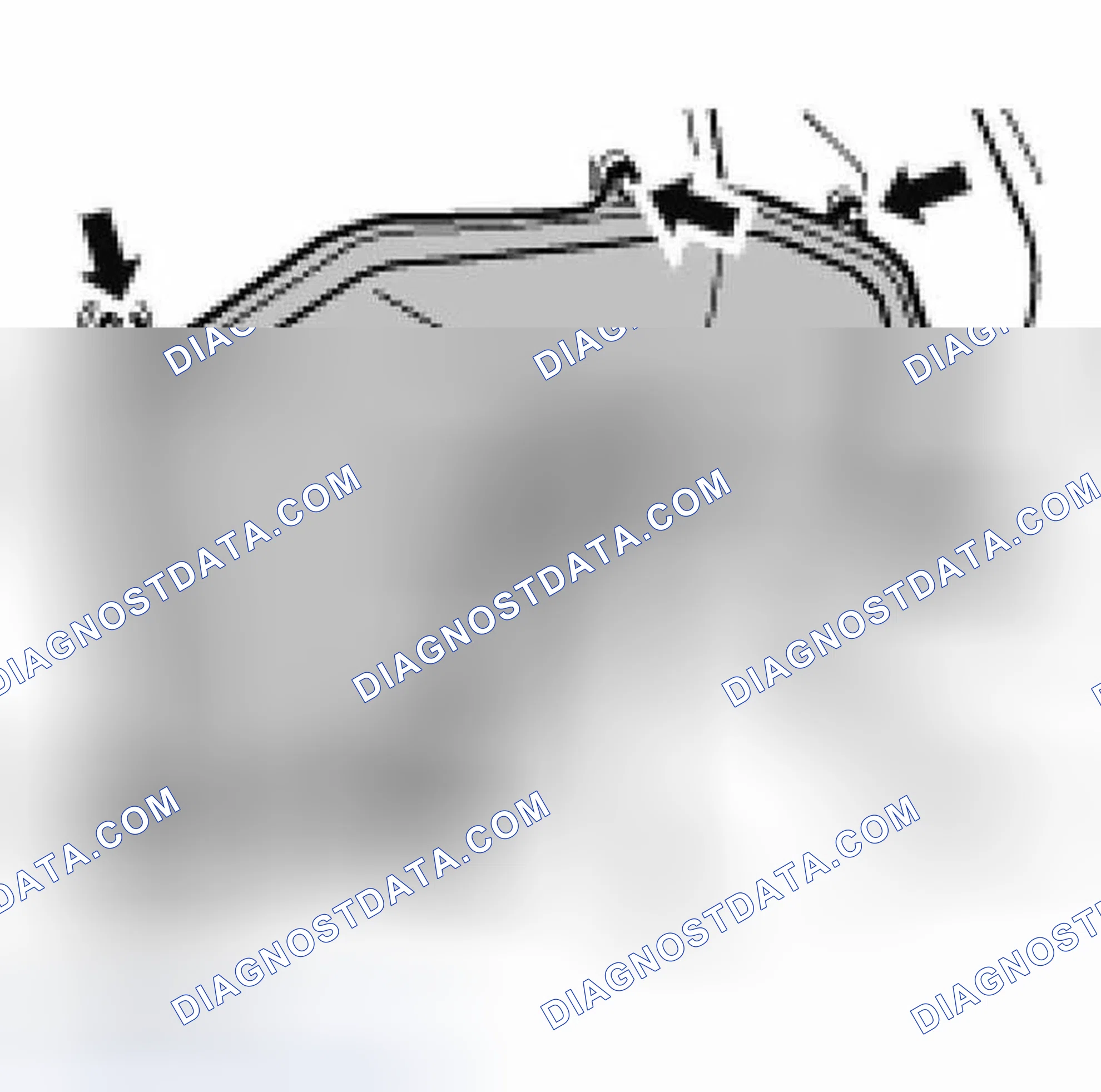 Scheme 44: ENGINE MAINTENANCE: CHECKING POLYRIB BELT STATE
