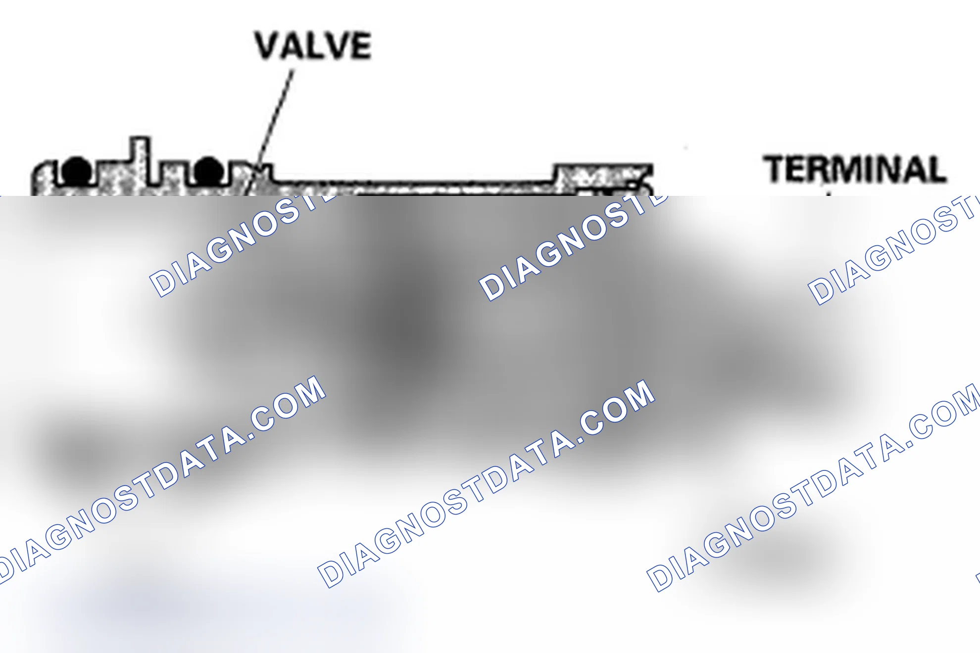 Scheme 224: EVAP Canister Vent Shut Valve