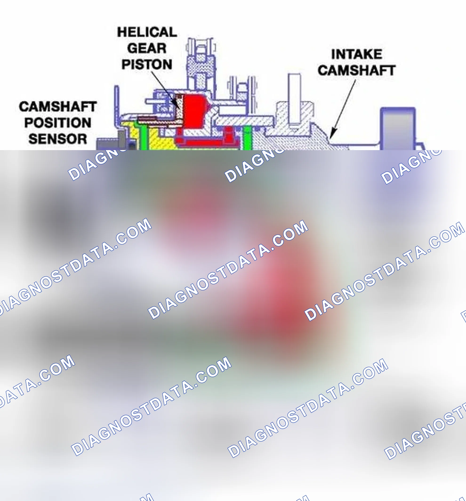 Scheme 748: Identifying VANOS Transmission Components