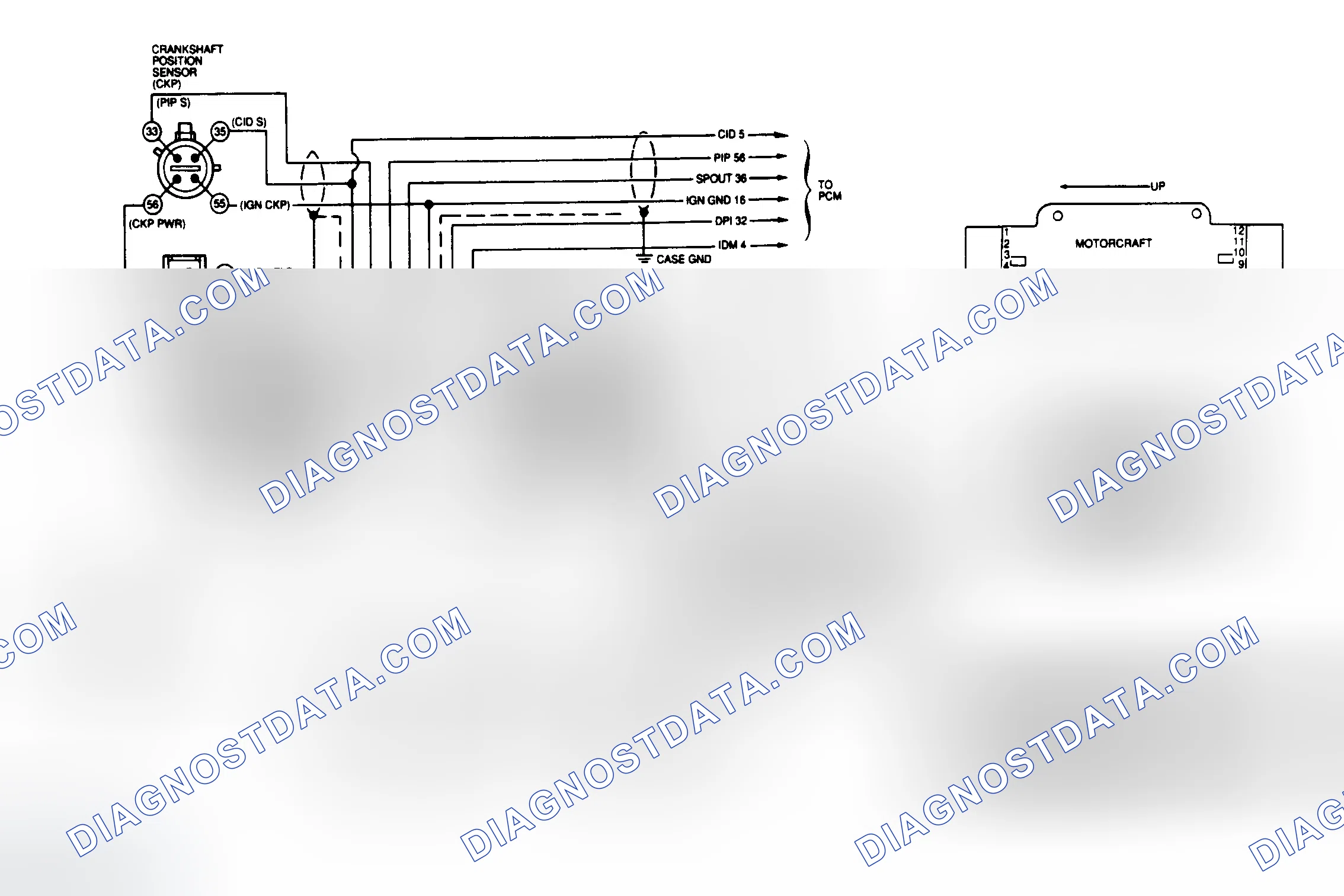 Scheme 25: Ignition System Connector Terminal (Mustang 2.3L)