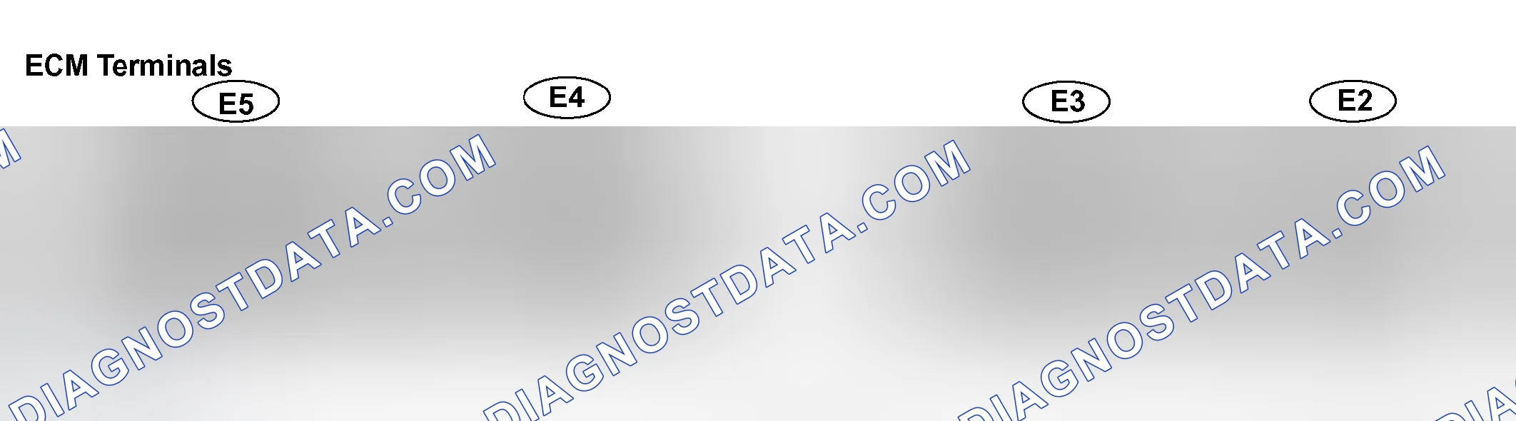 Scheme 90: TERMINALS OF ECM