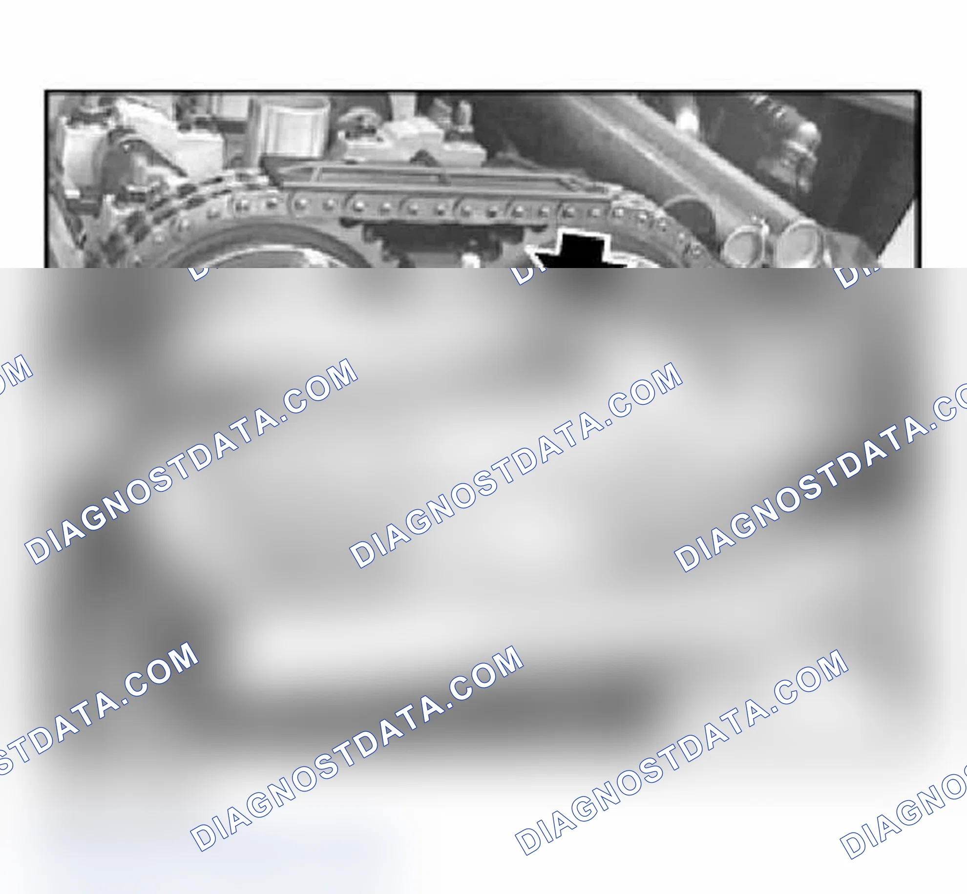 Scheme 337