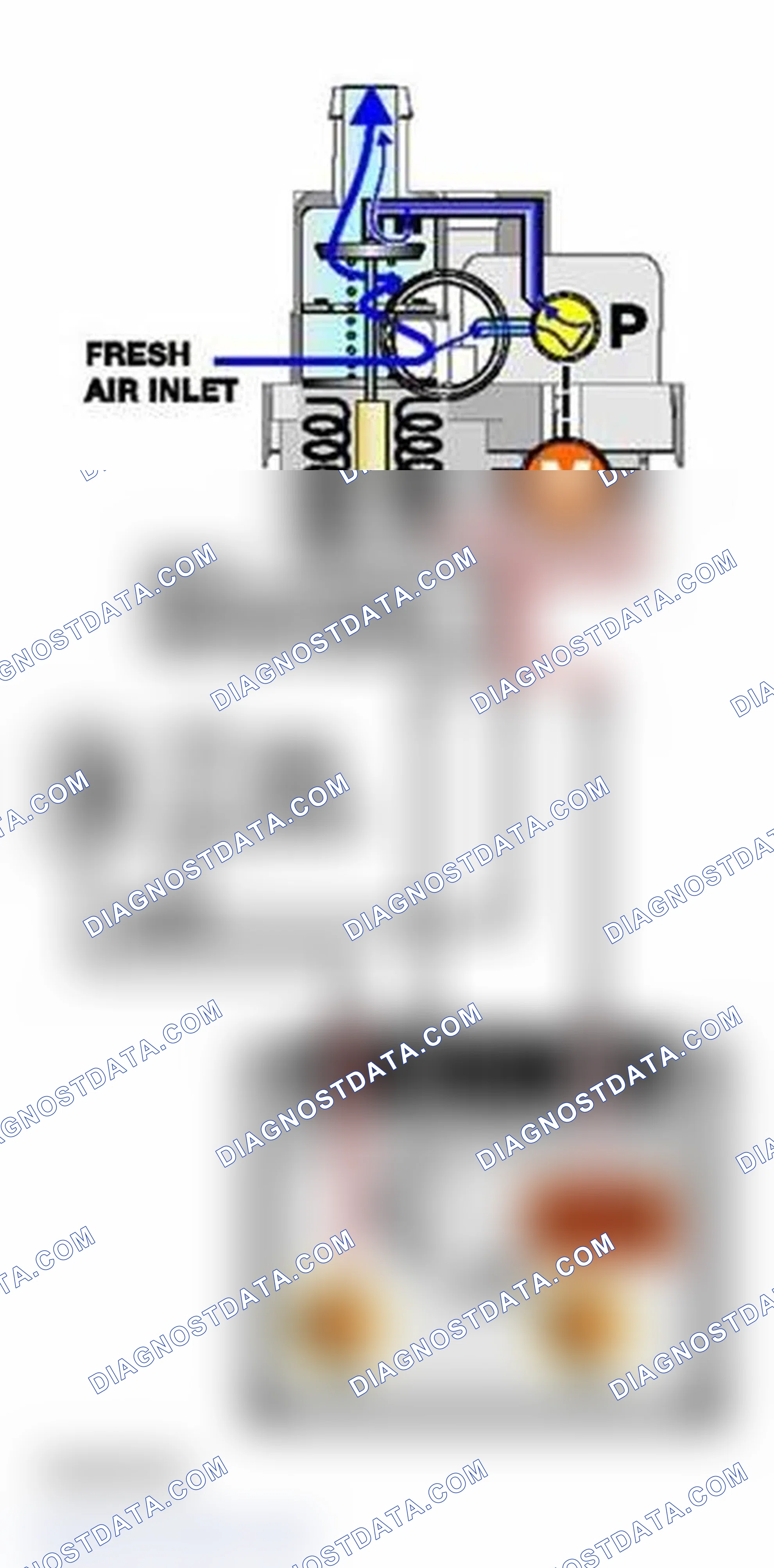 Scheme 437