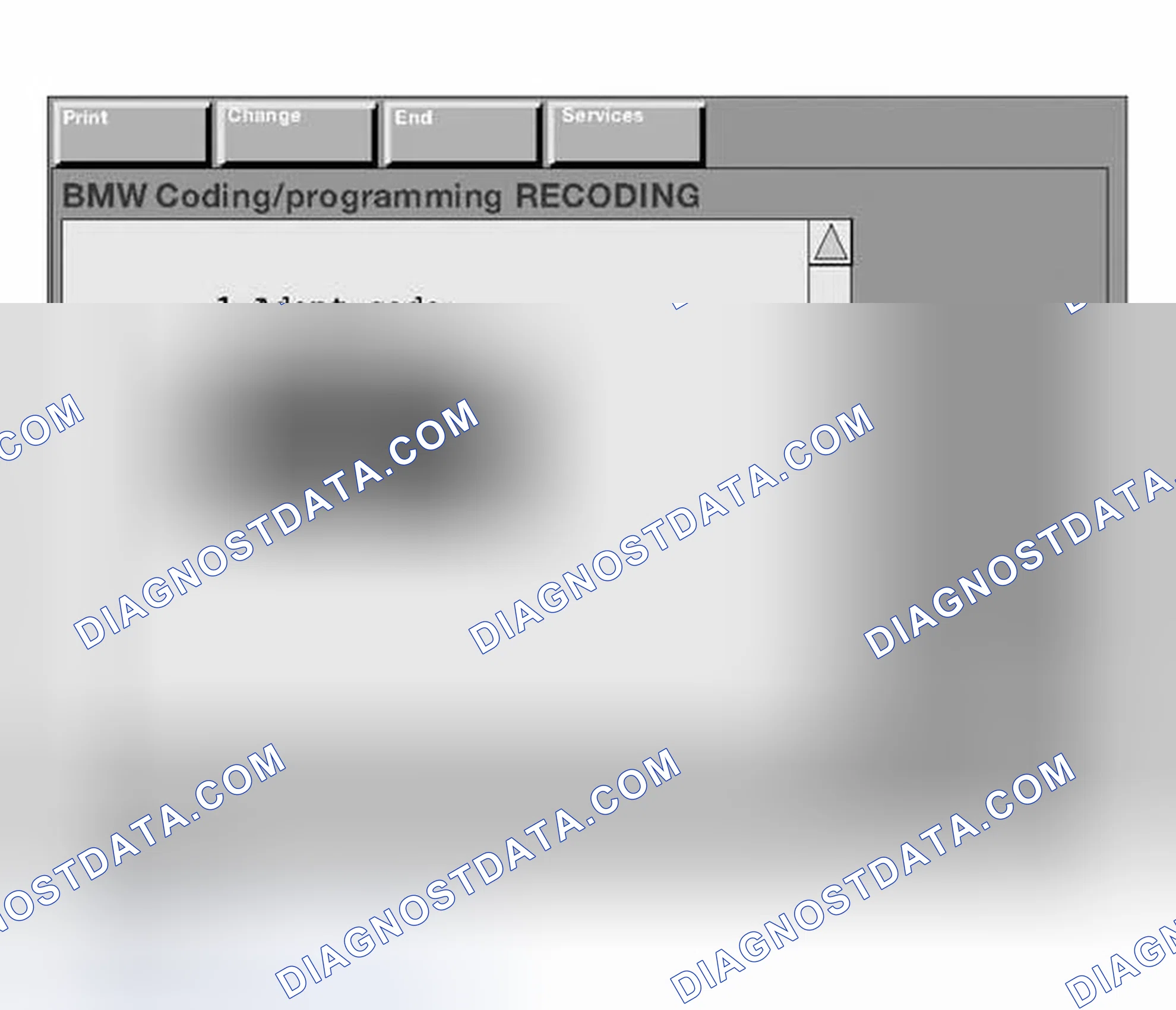Scheme 183: Manually Entering the Variant Code