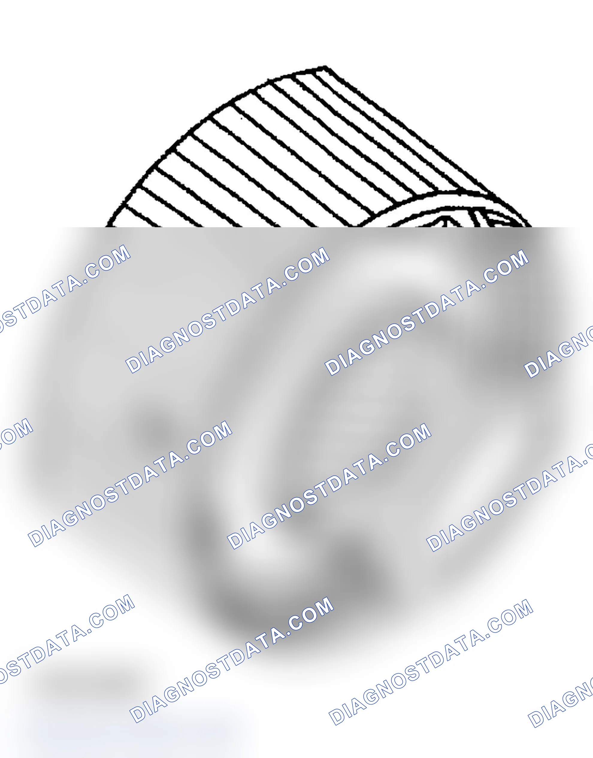 Scheme 539