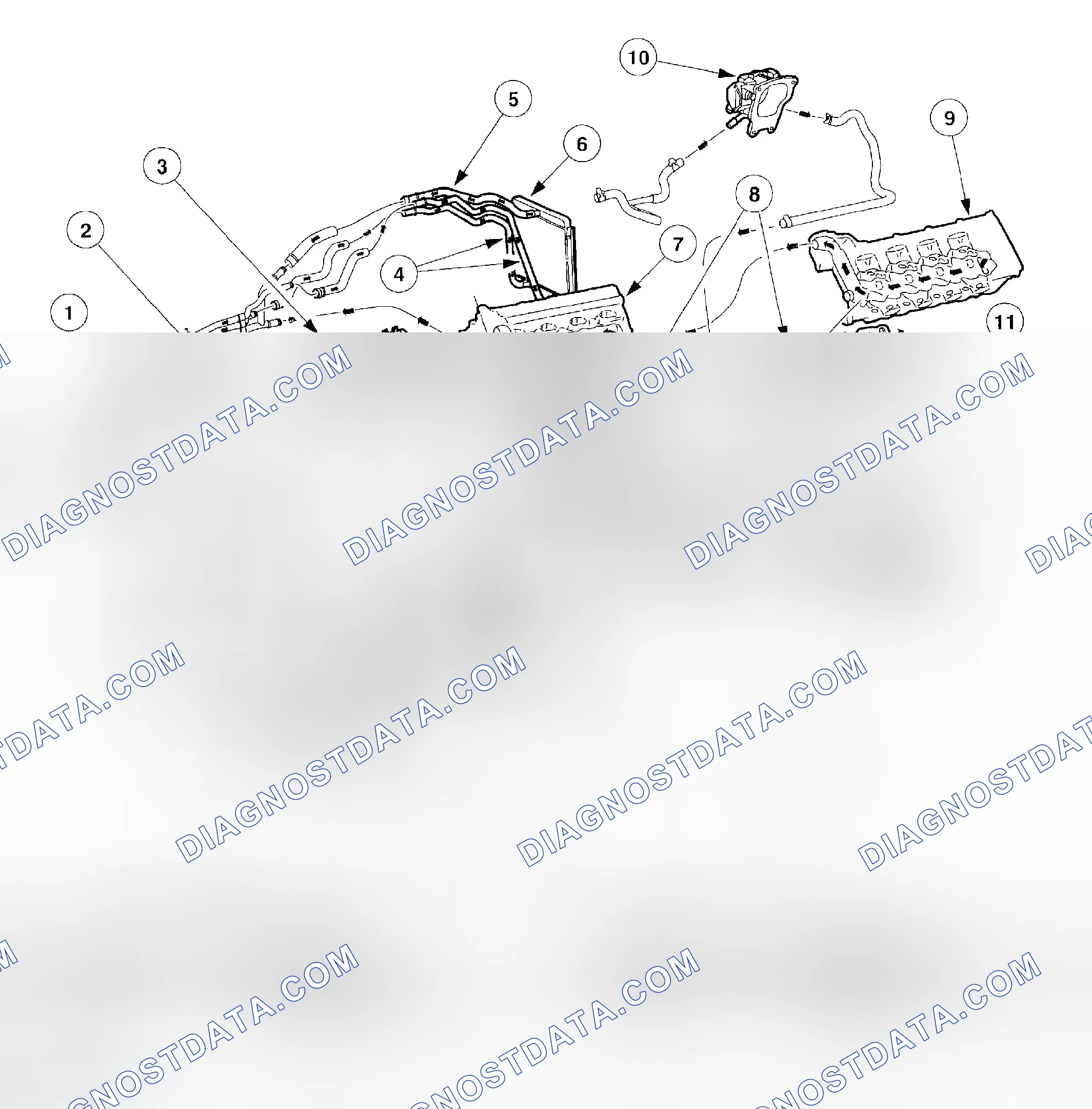 Scheme 44: Coolant Flow 3.9L