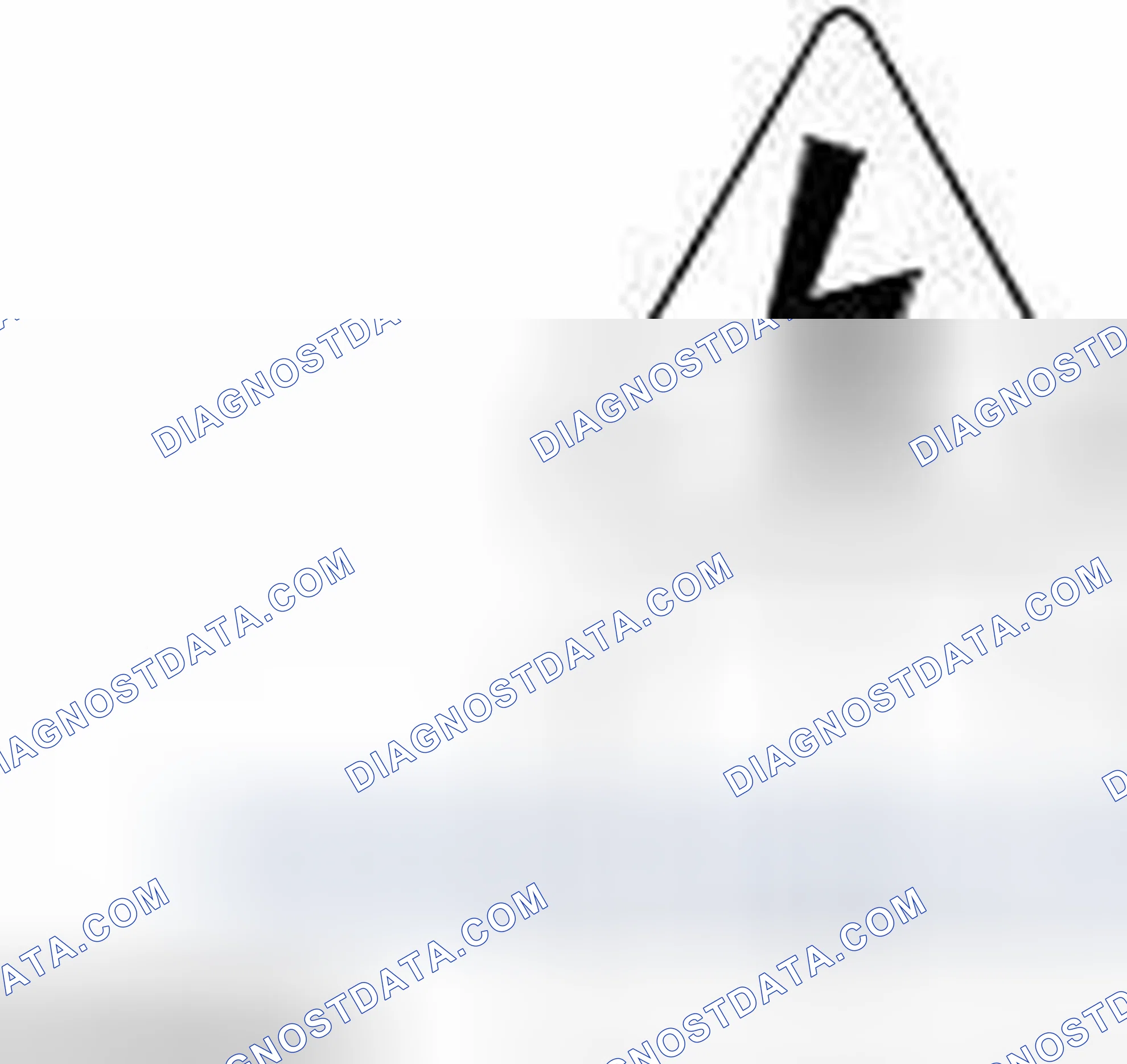 Scheme 2: Warning Symbols on Vehicles
