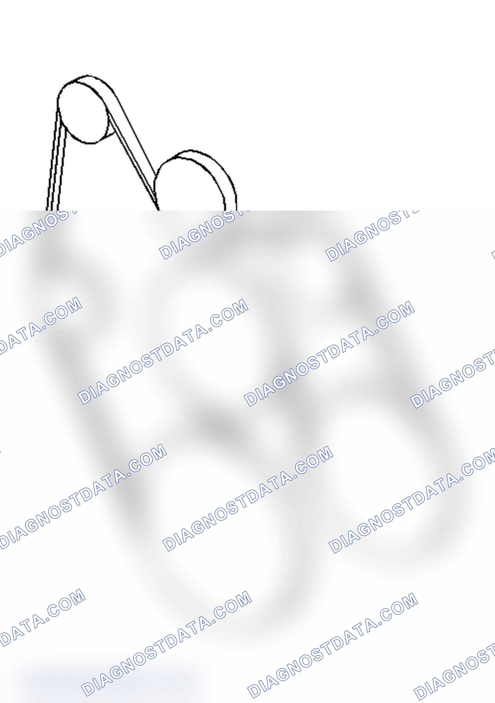 Scheme 5: DRIVE BELT ROUTING - 4.3L ("S" & "T" SERIES)