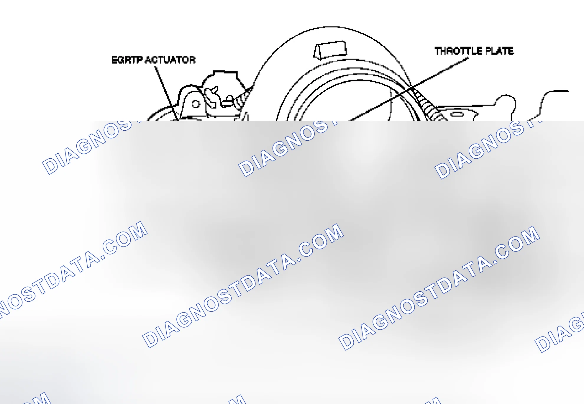 Scheme 29: EGR Throttle Position Sensor