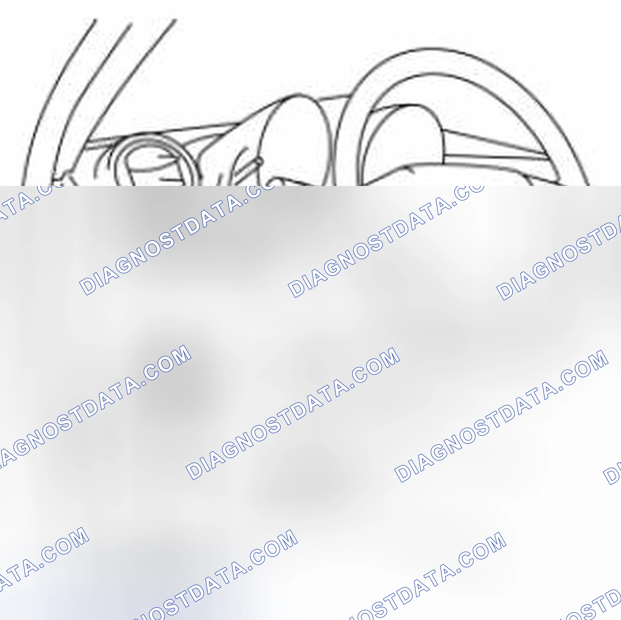 Scheme 166: A/F Sensor Inspection