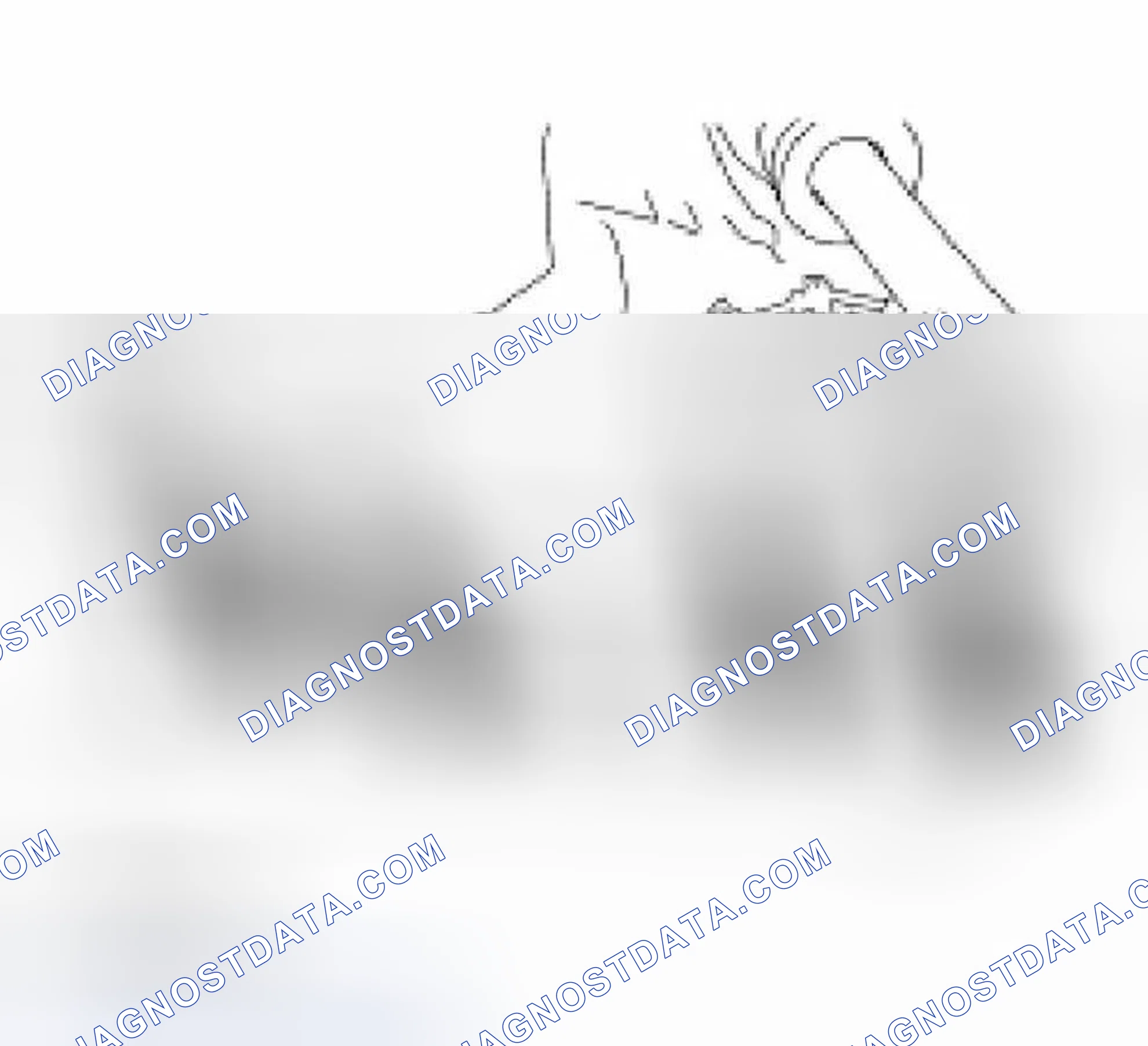 Scheme 146