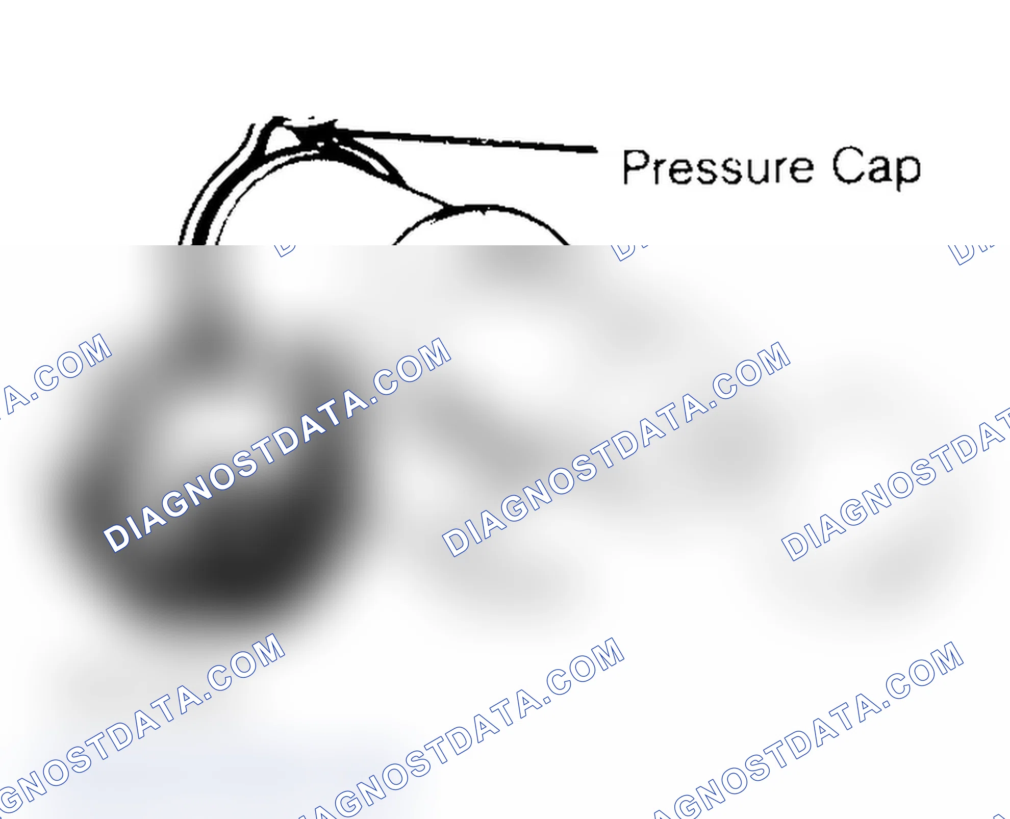 Scheme 2: Pressure Testing Radiator Cap