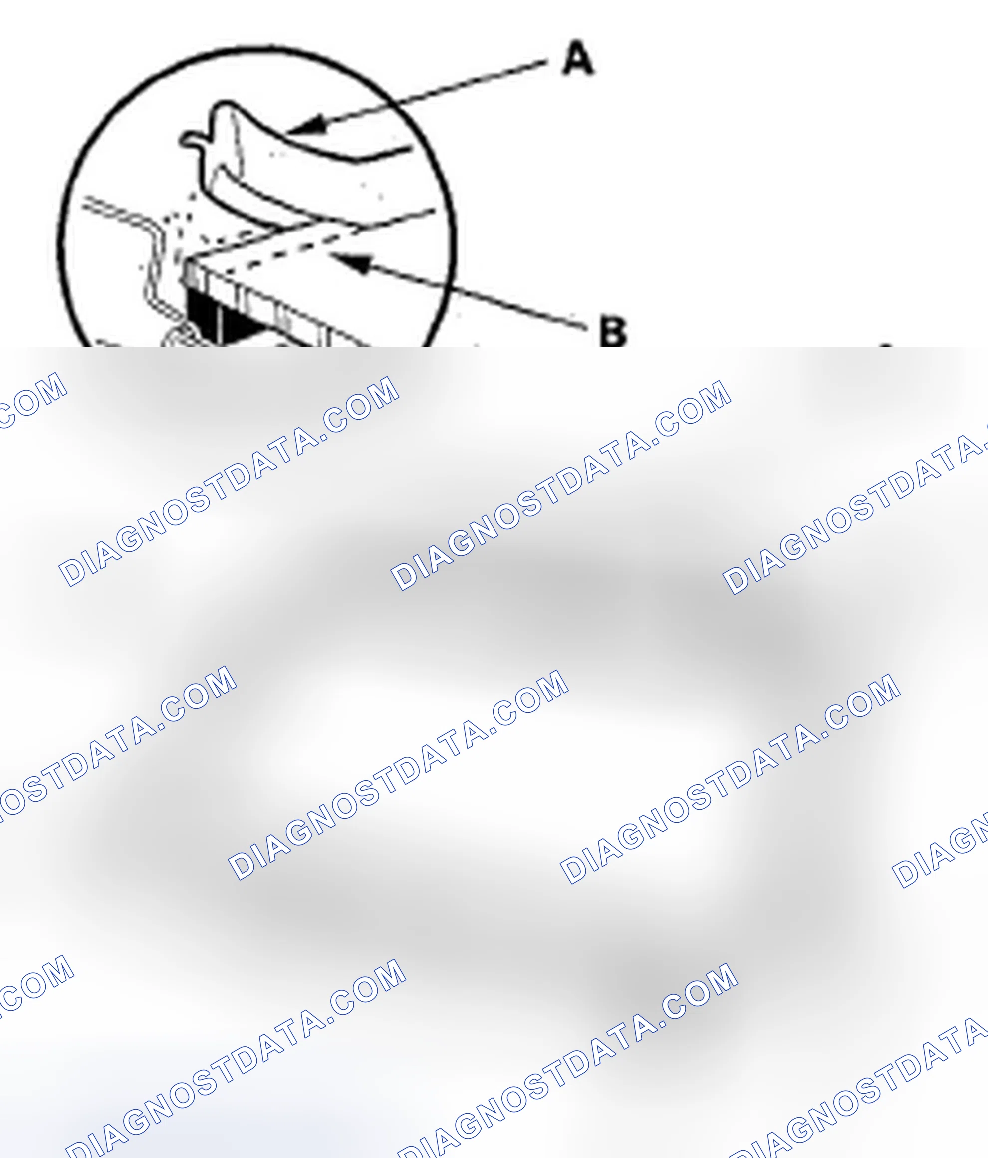 Scheme 17: Windshield Replacement