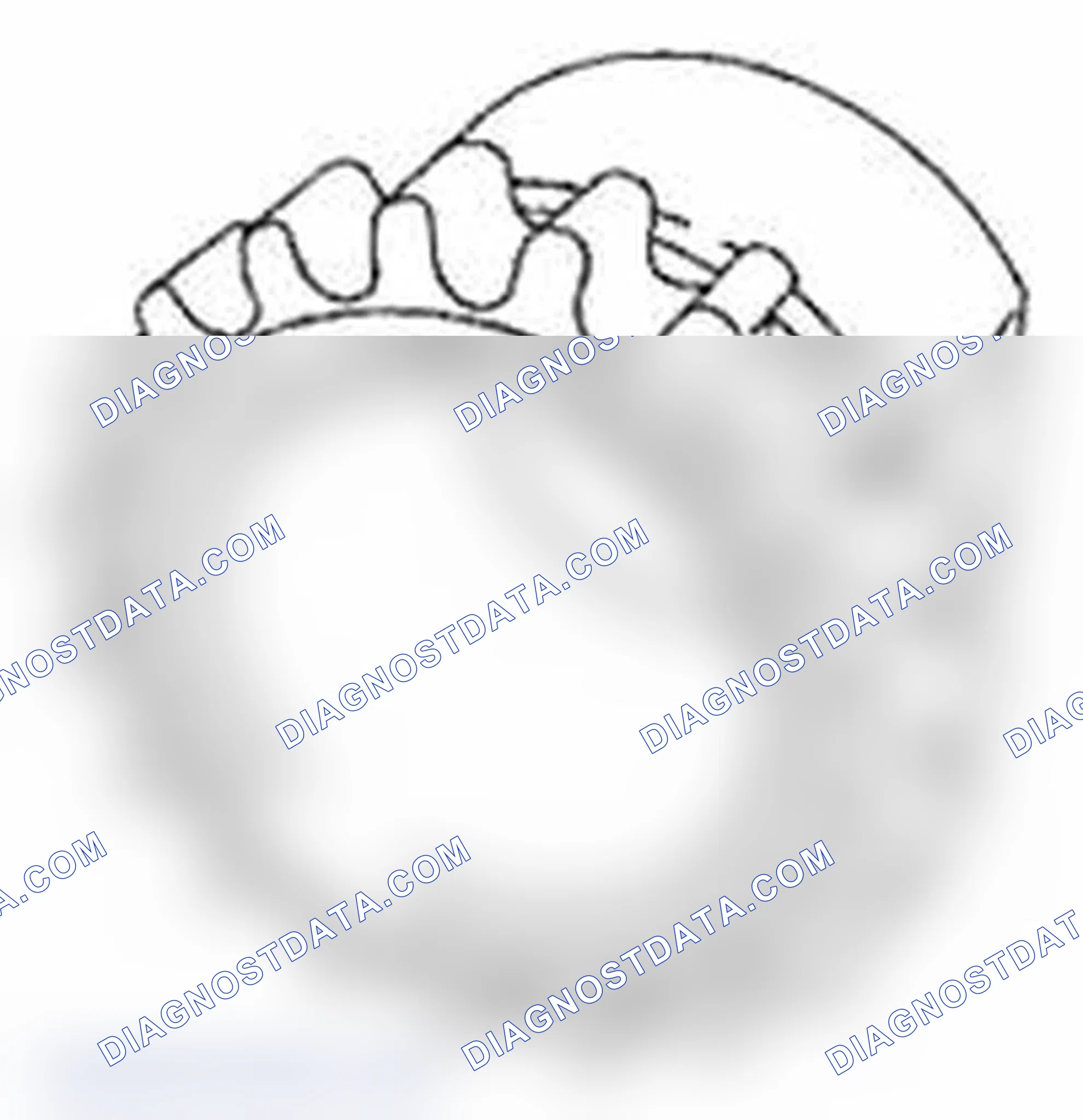 Scheme 109: Crankshaft Timing Sprocket