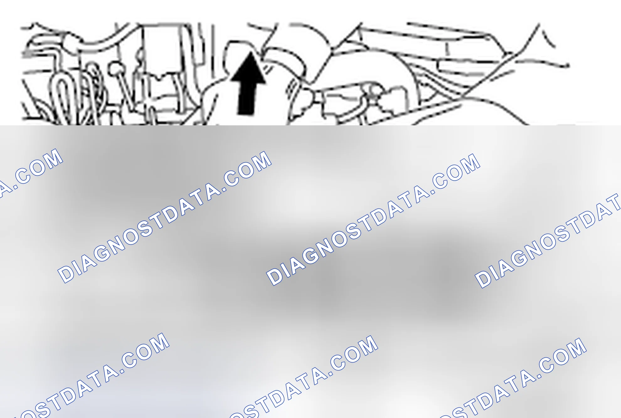 Scheme 9: F: CAMSHAFT AND CAMSHAFT SPROCKET ASSEMBLY (EXHAUST SIDE) REMOVAL