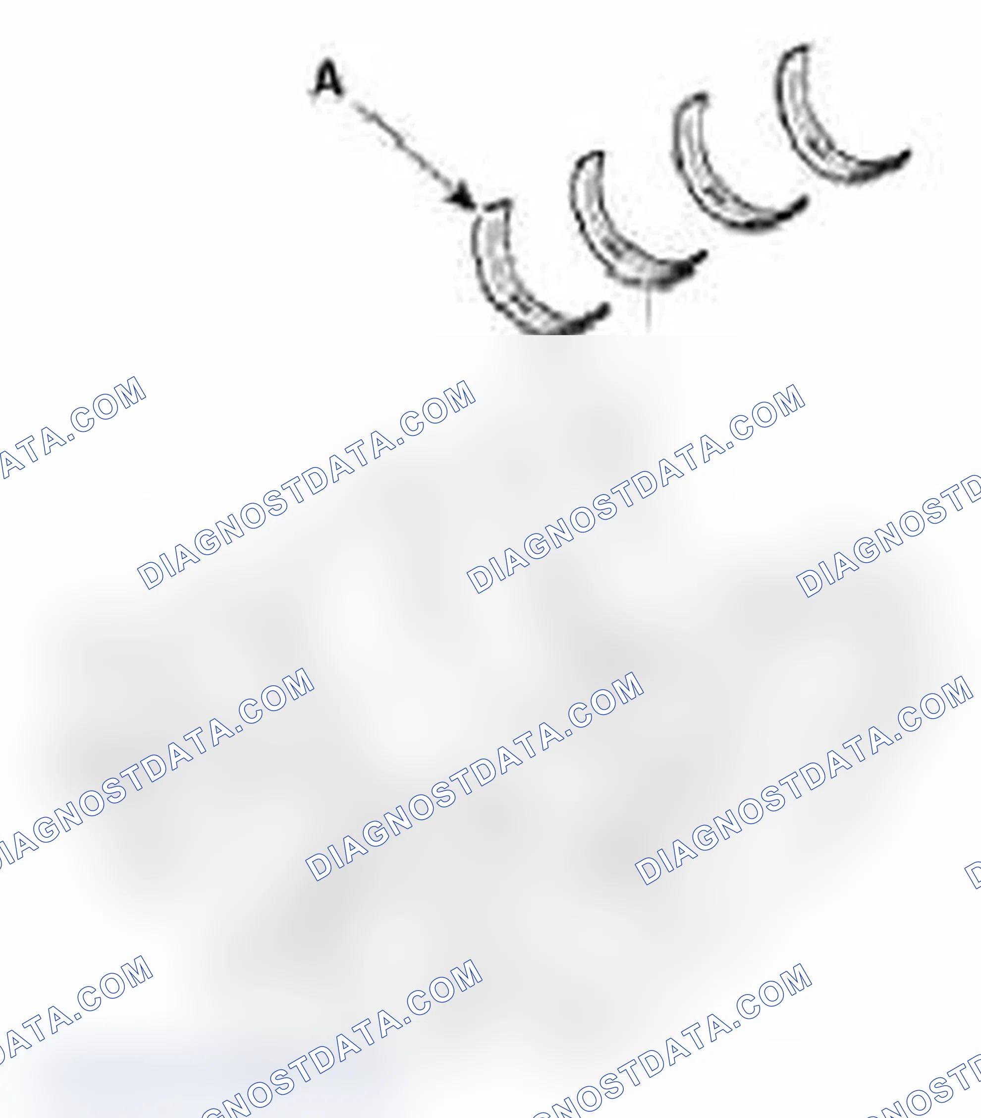 Scheme 263: Reassembly