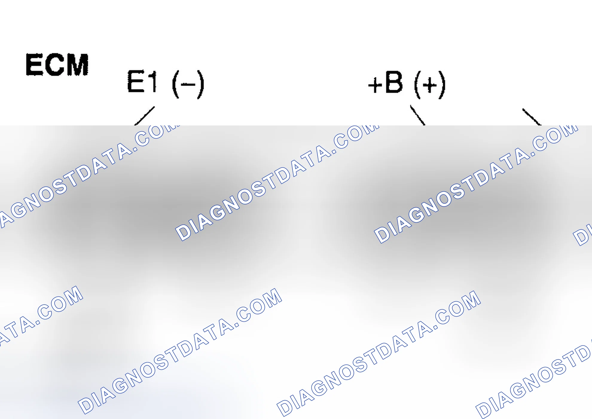 Scheme 443: INSPECTION PROCEDURE