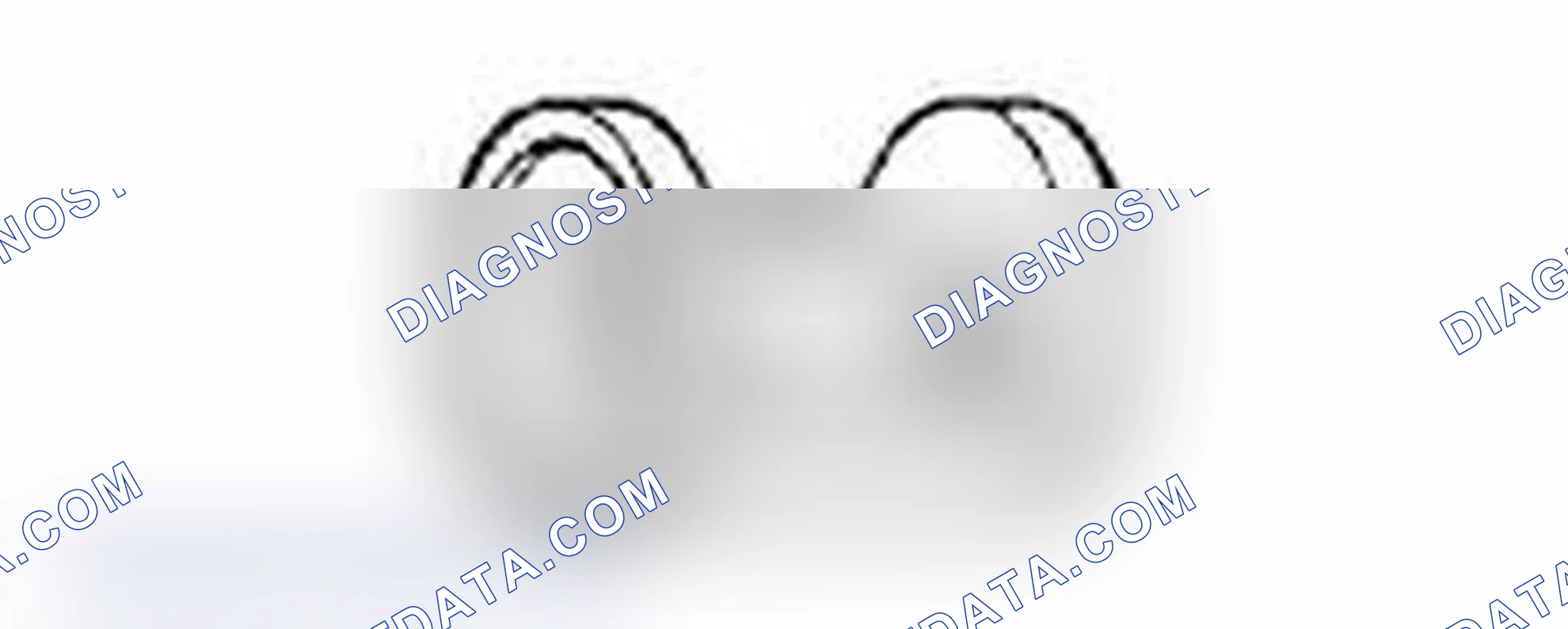 Scheme 5