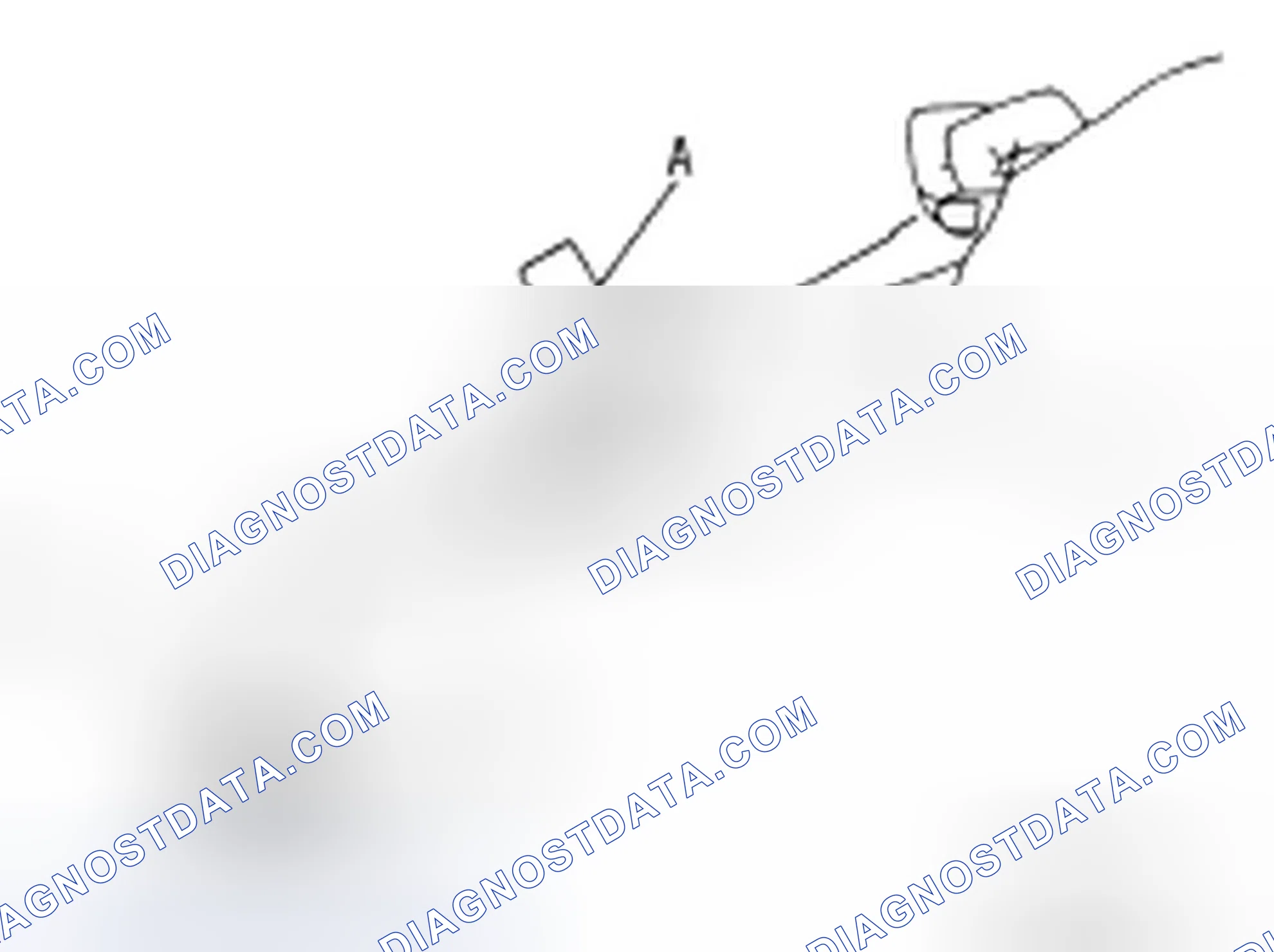 Scheme 2: LEAKAGE