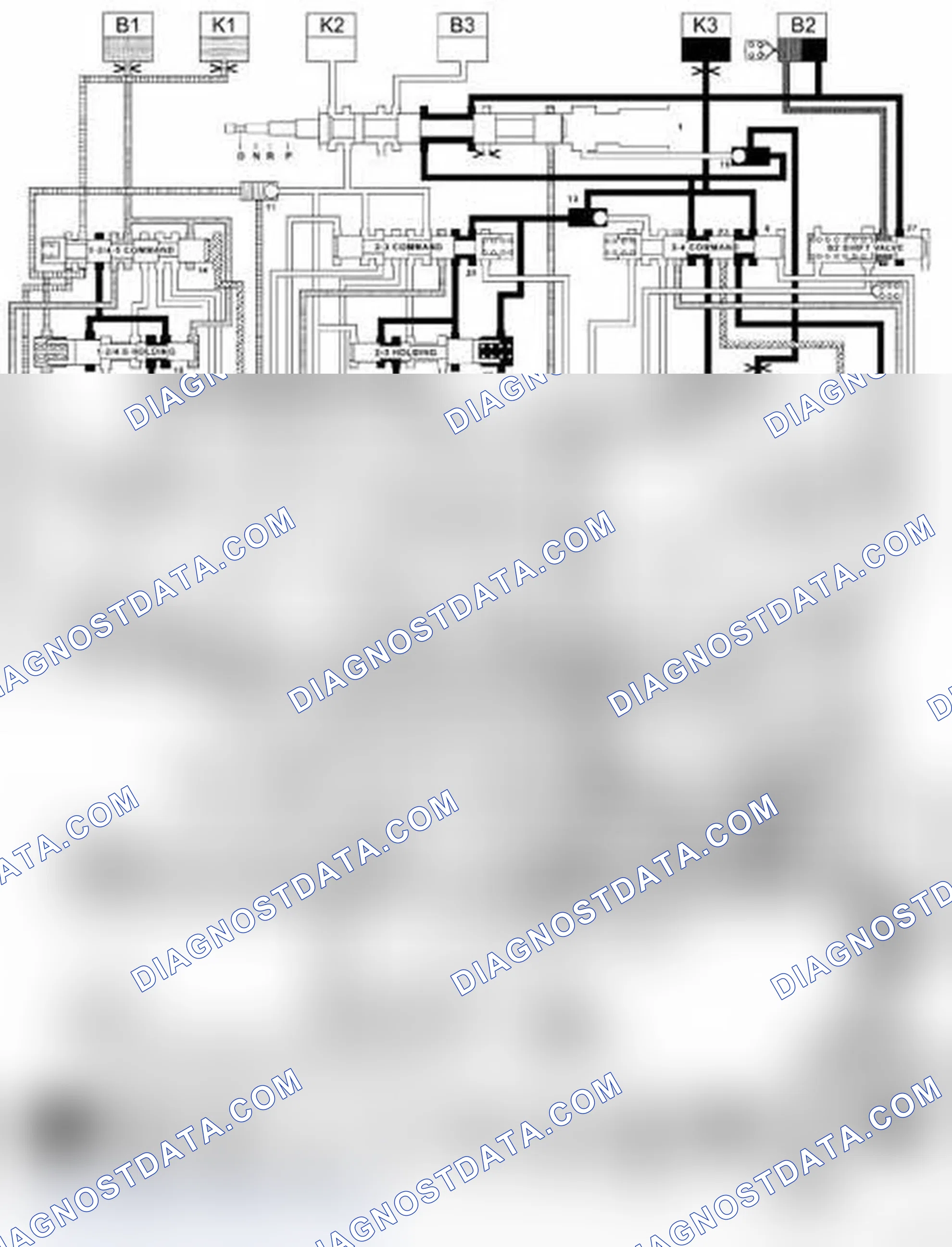 Scheme 50