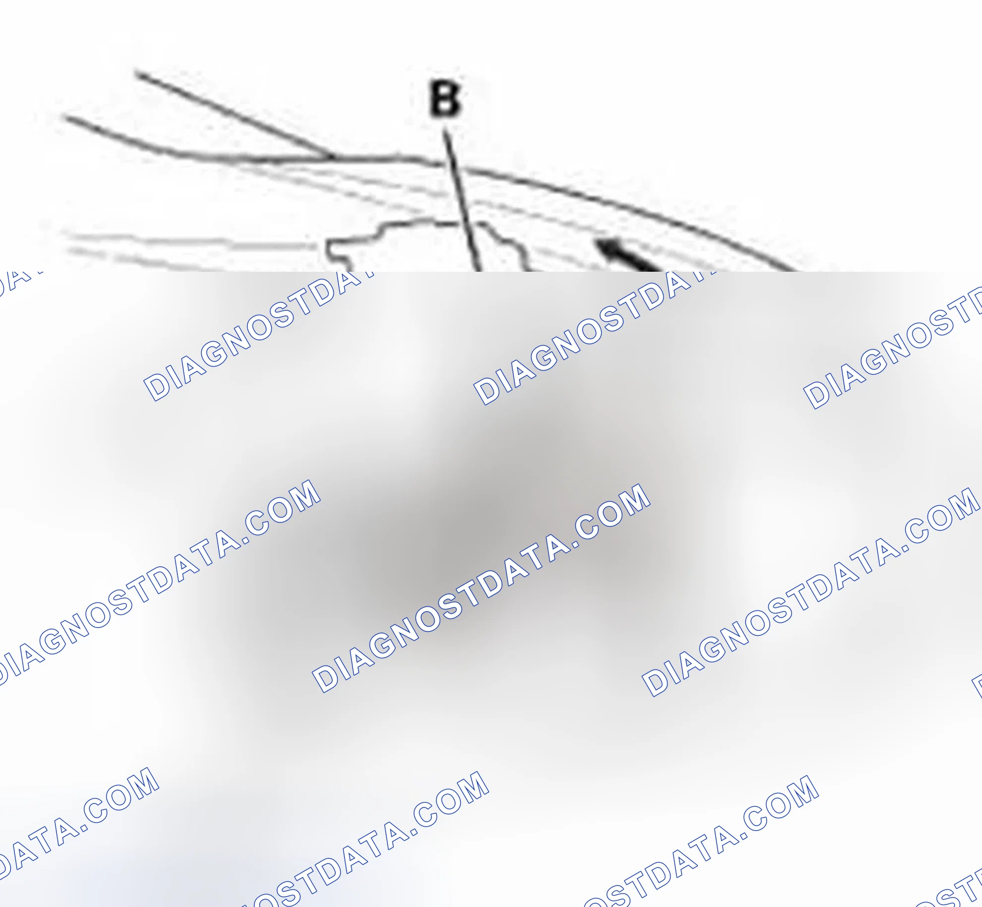 Scheme 188