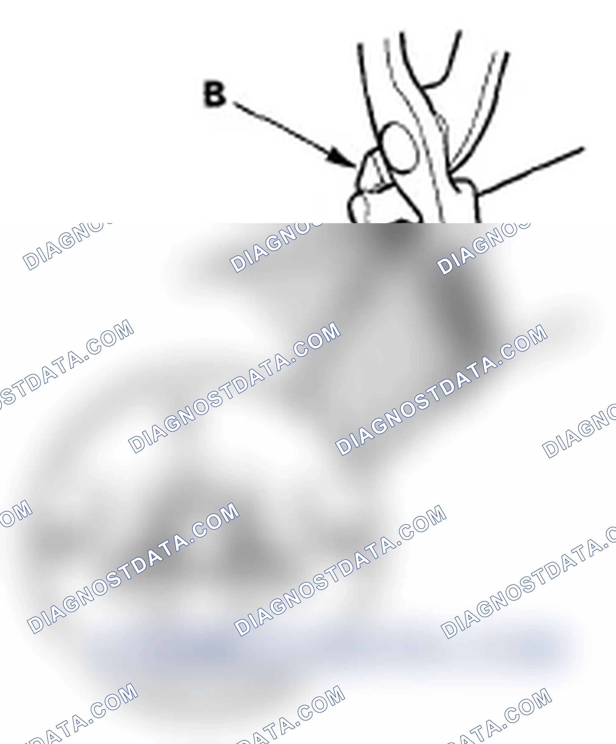 Scheme 129