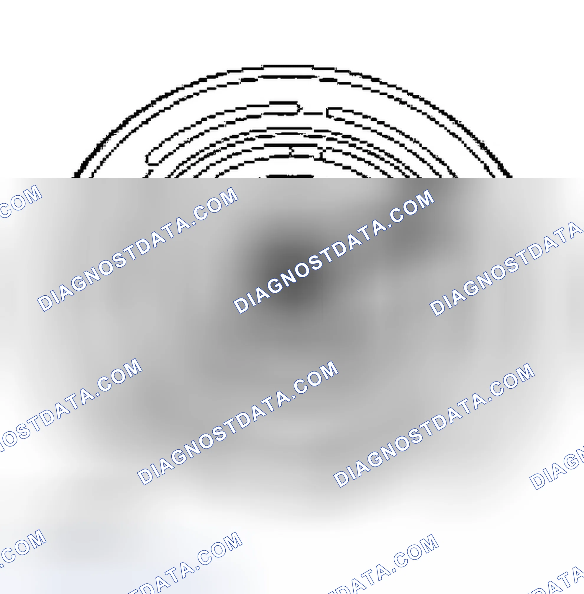 Scheme 107