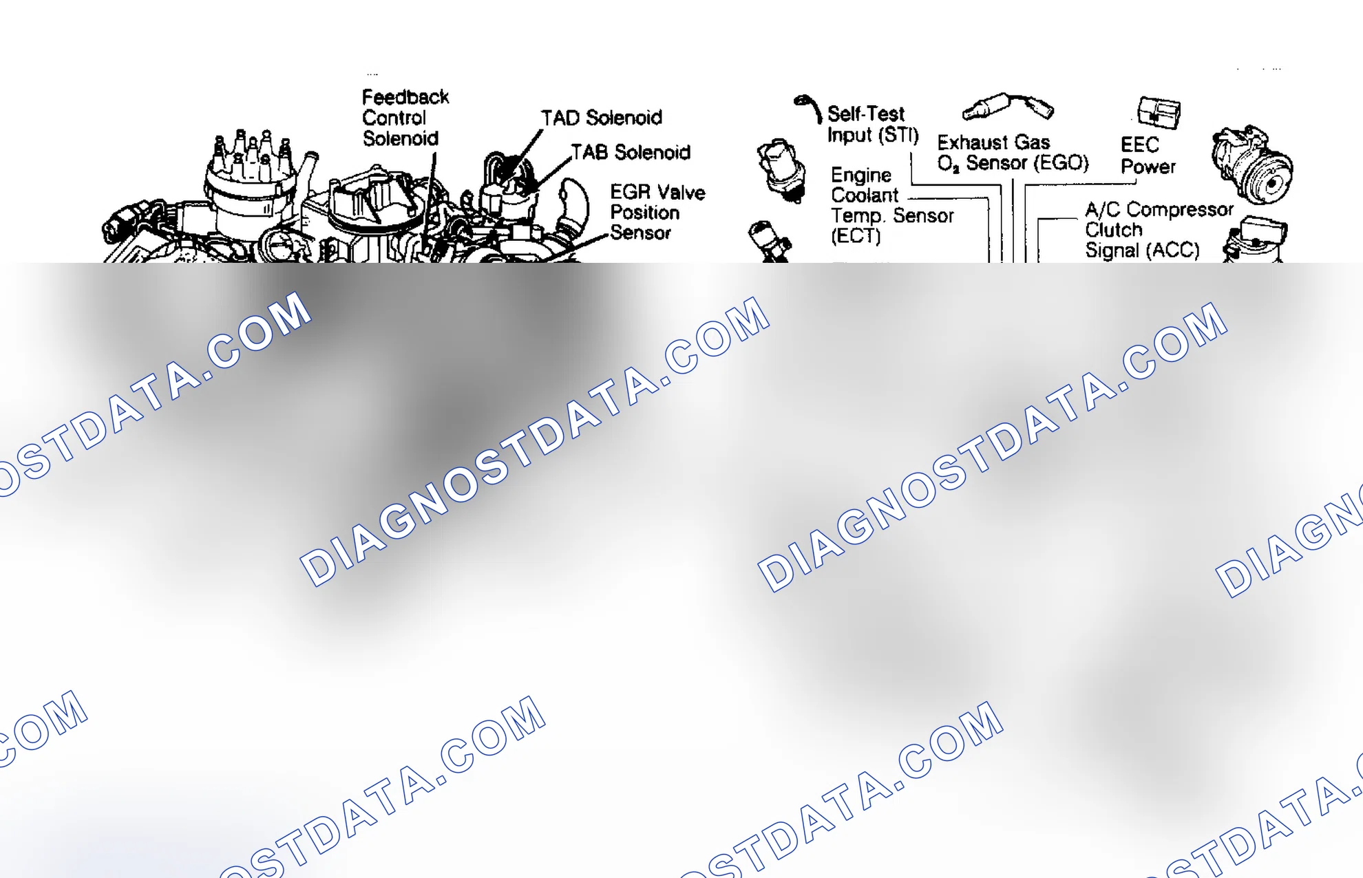 Scheme 148: 5.0L & 5.8L FBC EEC-IV System Inputs/Outputs and Component Locations