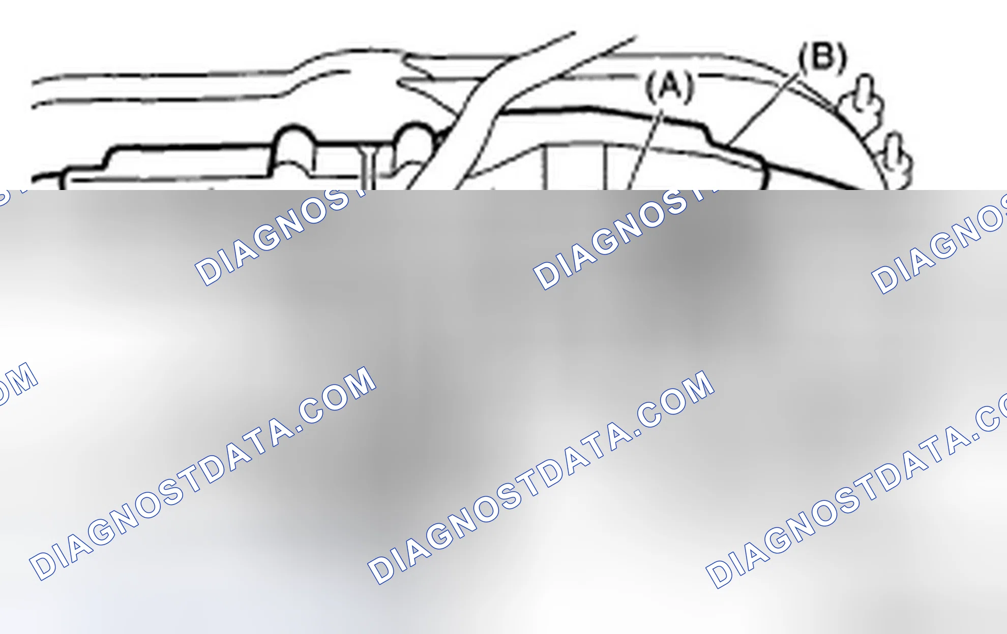 Scheme 245