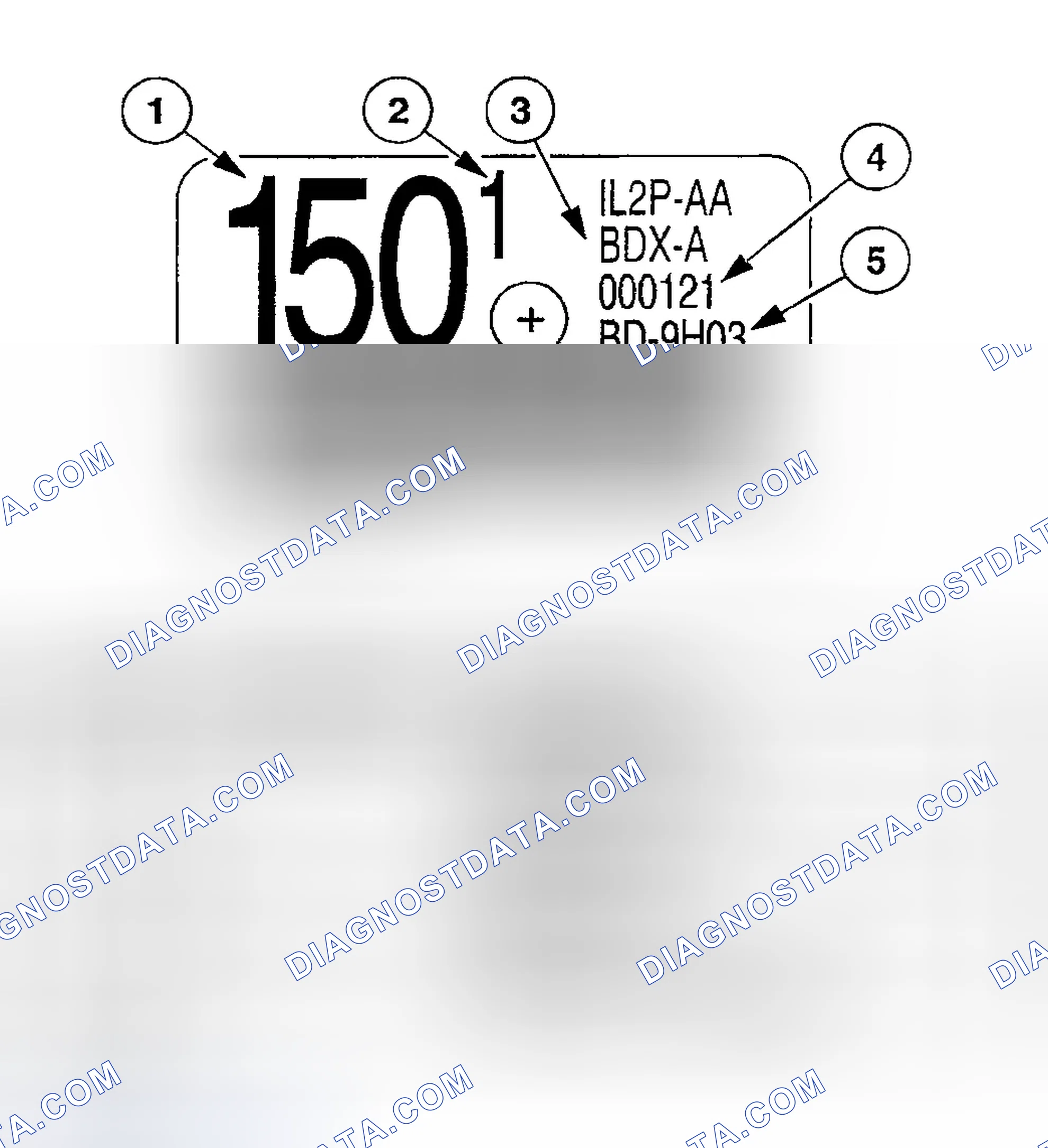 Scheme 79: IDENTIFICATION TAGS