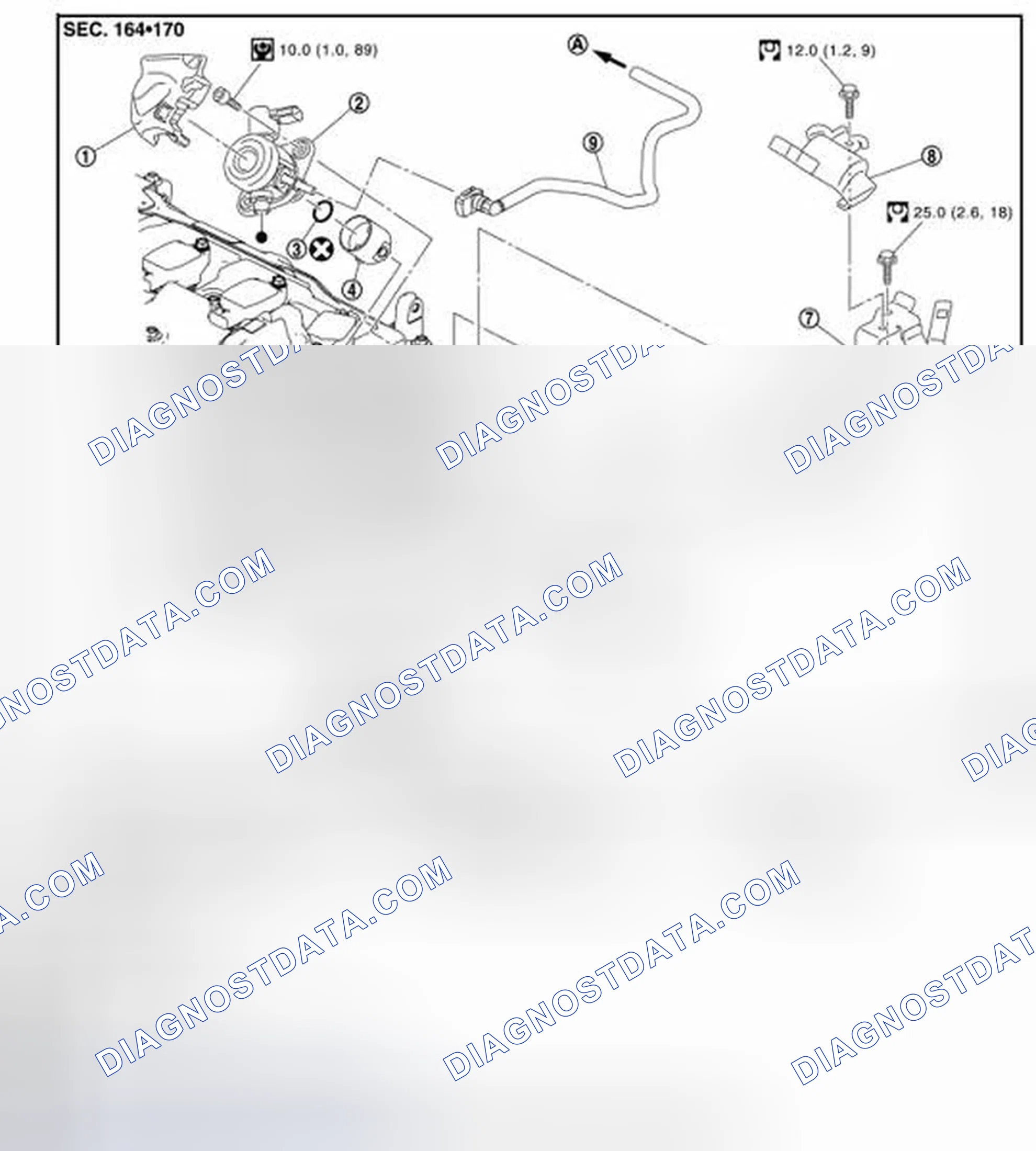 Scheme 204