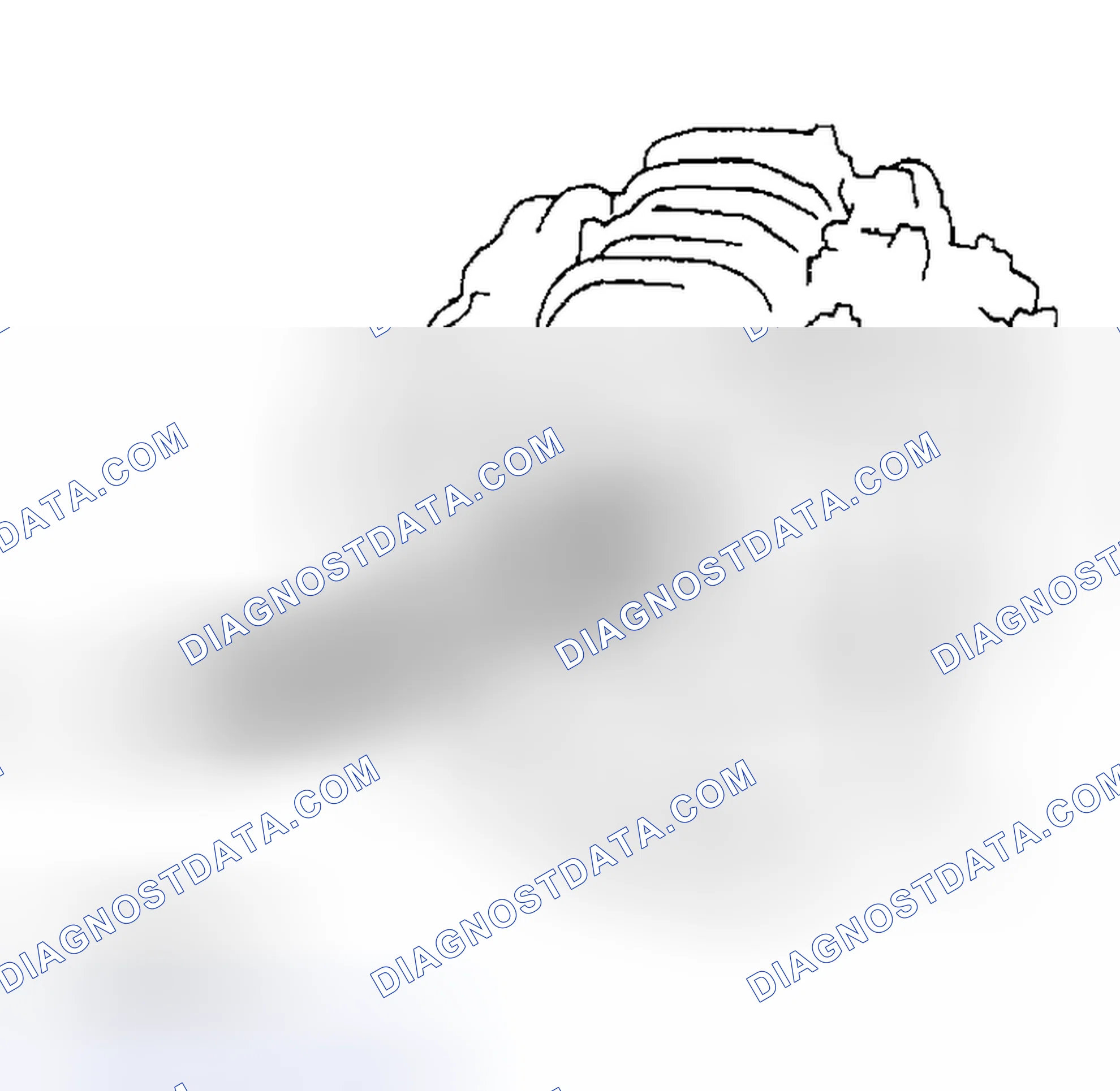 Scheme 28: ENGINE SERIAL NUMBER AND TRANSAXLE SERIAL NUMBER