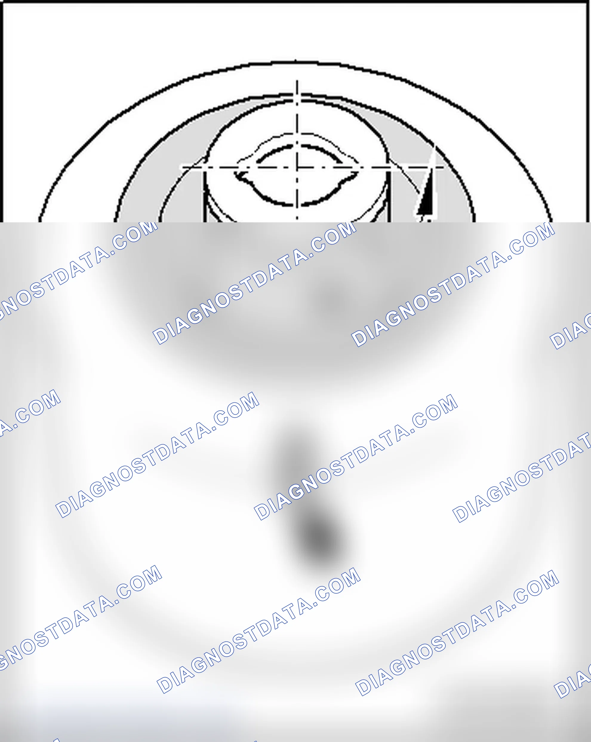 Scheme 329