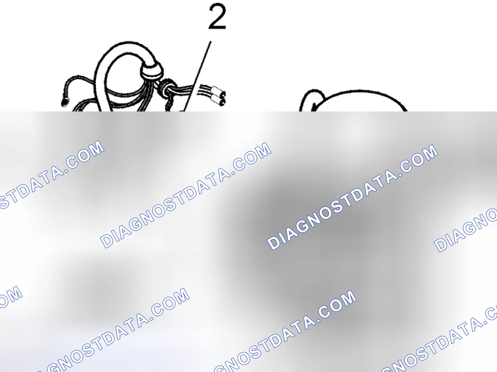 Scheme 5