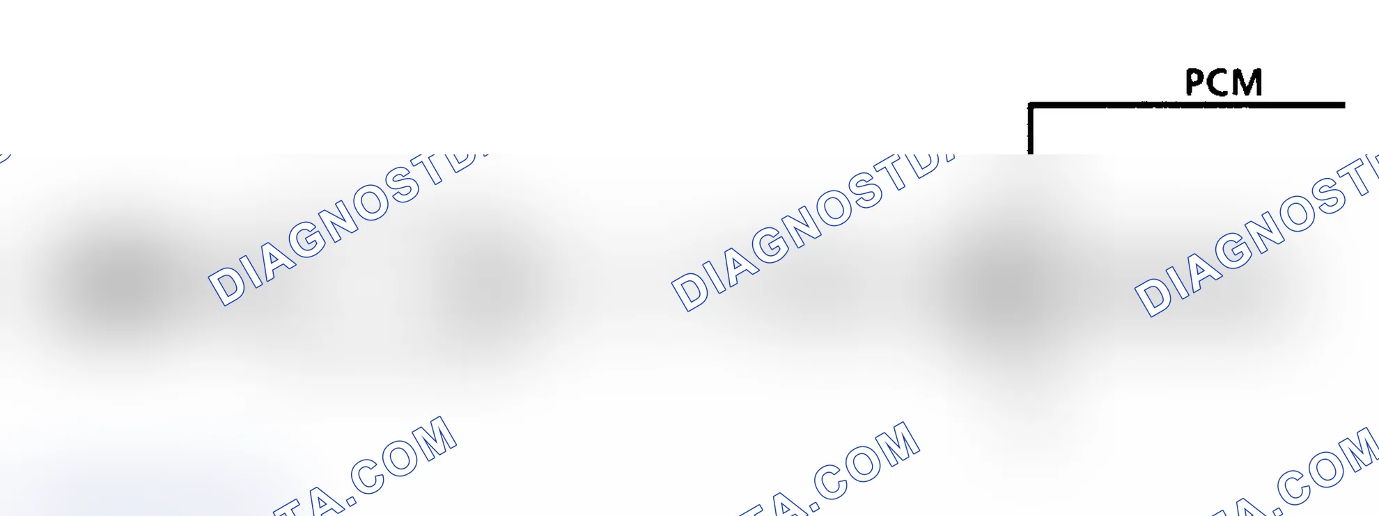 Scheme 152: Diagnostic Aids