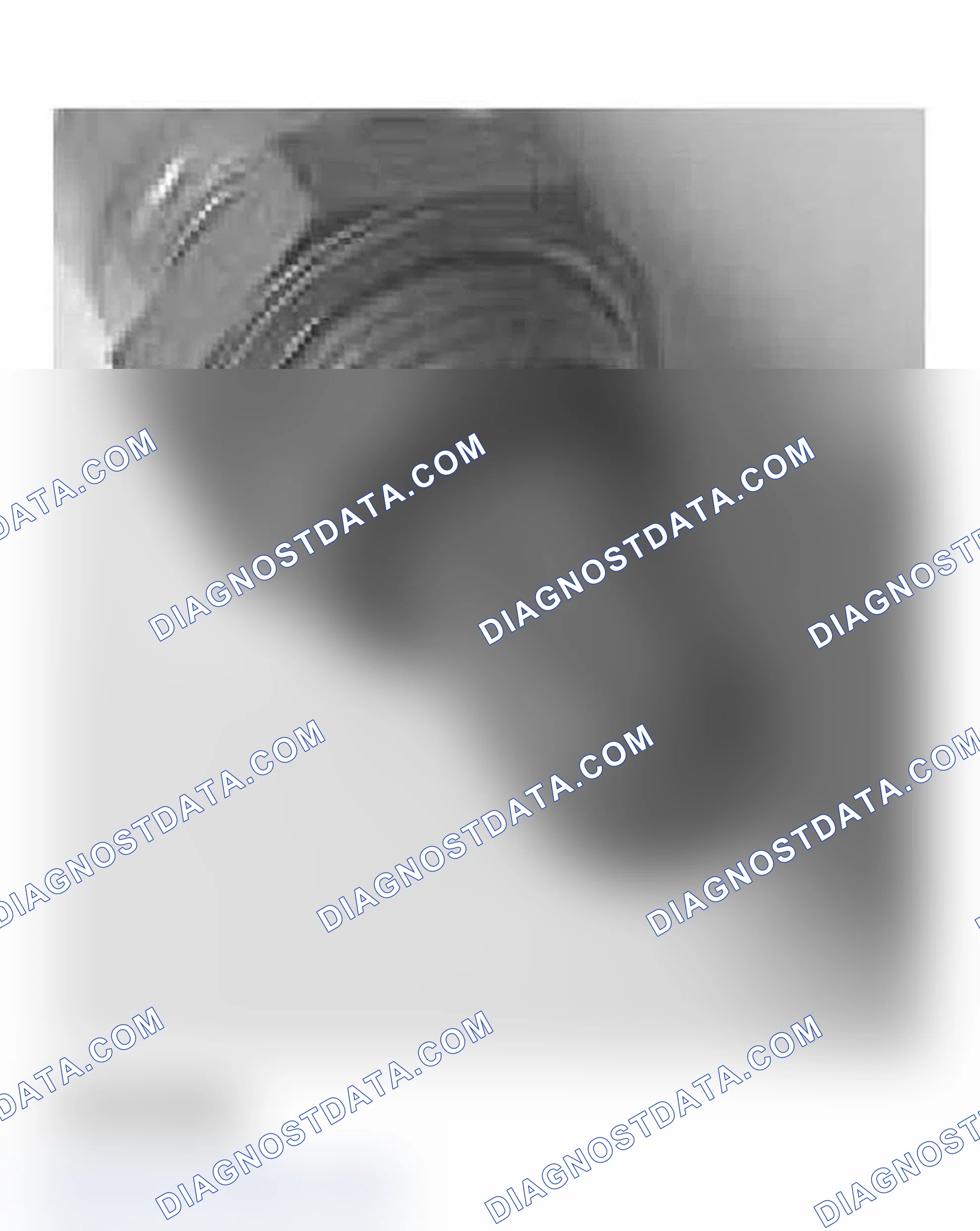 Scheme 492: Scope Of Input Functions Bosch Oxygen Sensors