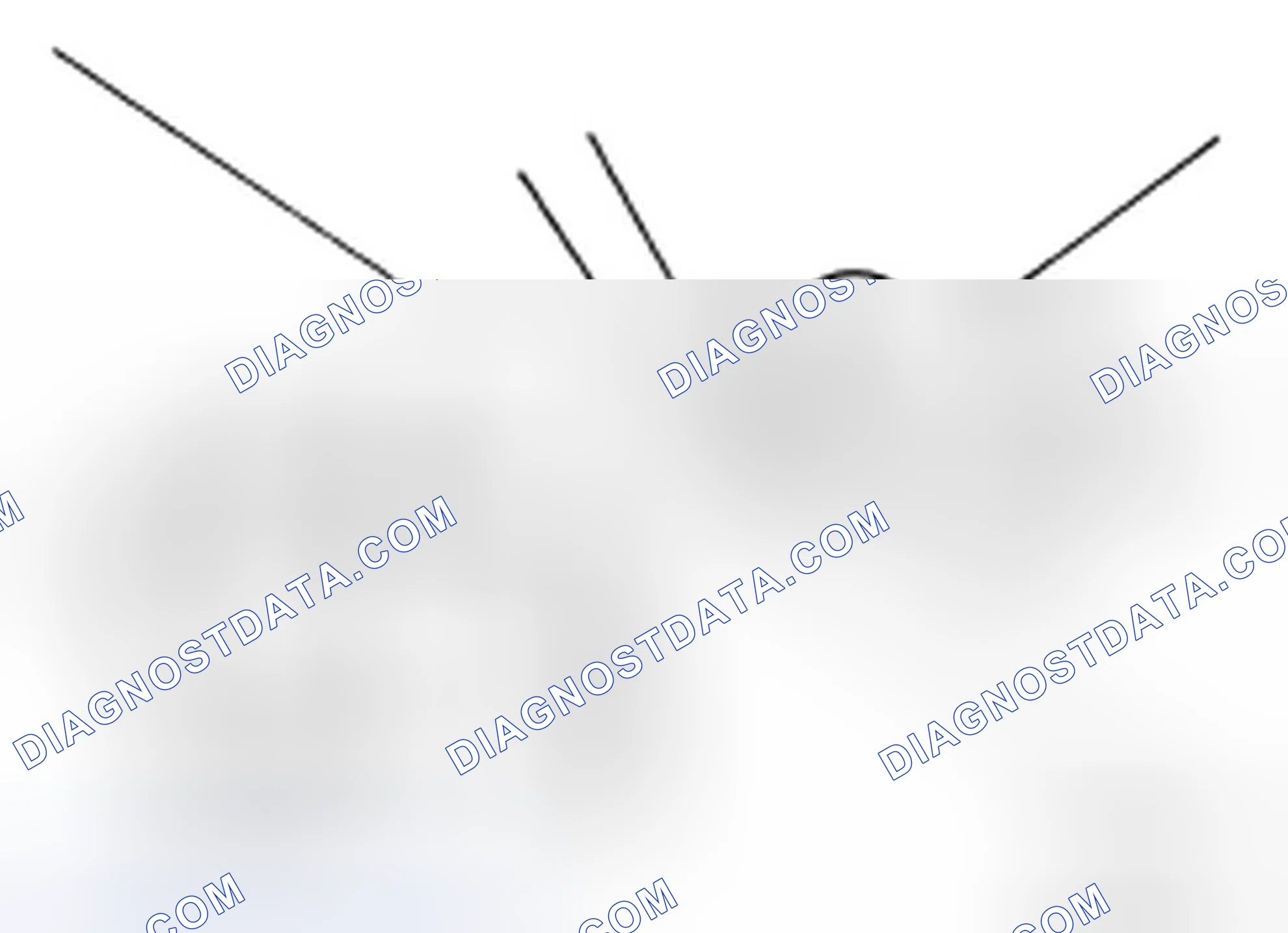 Scheme 32: Changing Brake Fluid