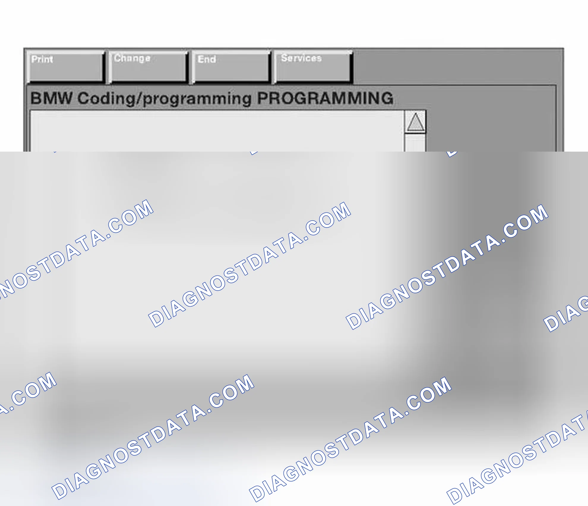 Scheme 243