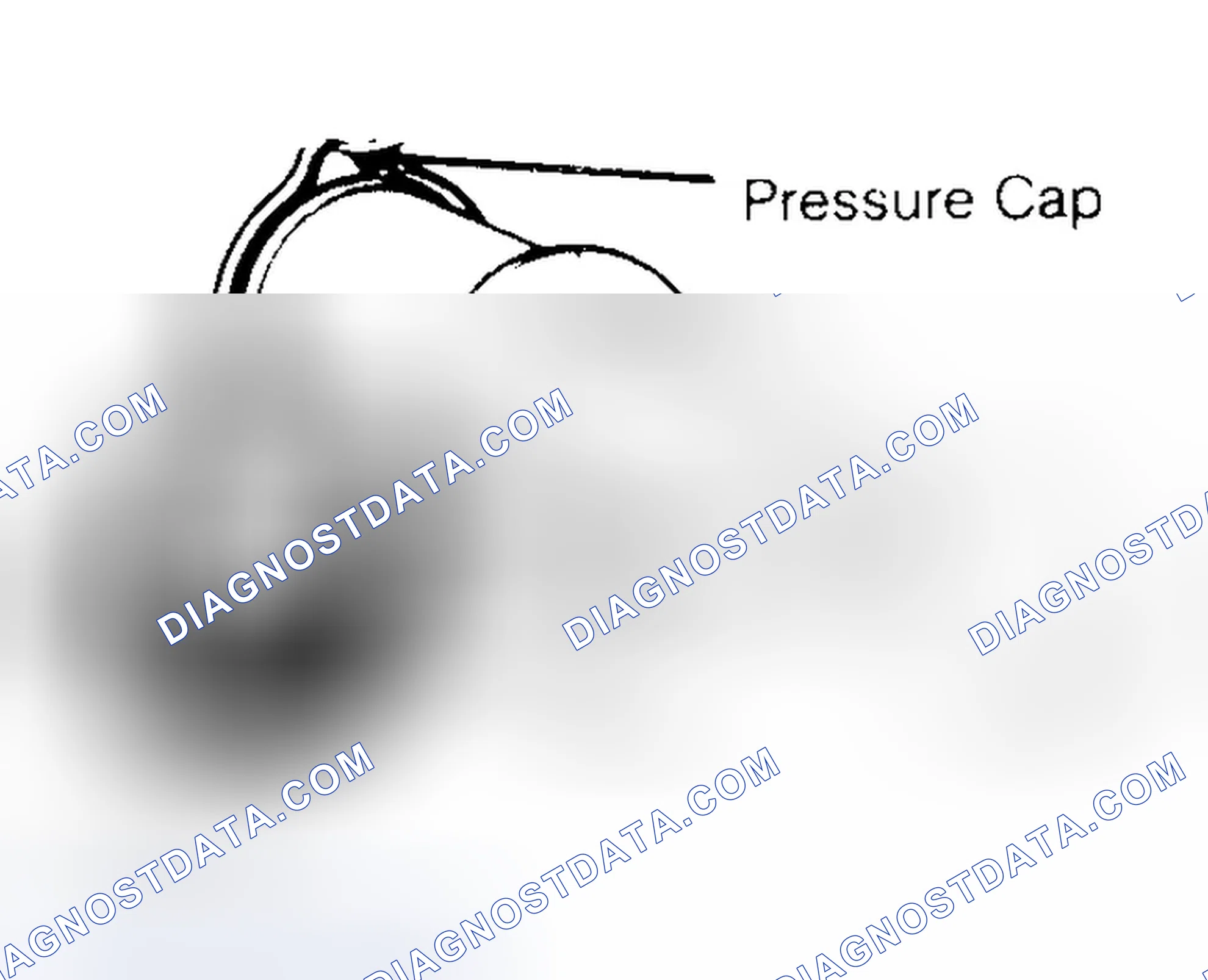 Scheme 2: Pressure Testing Radiator Cap