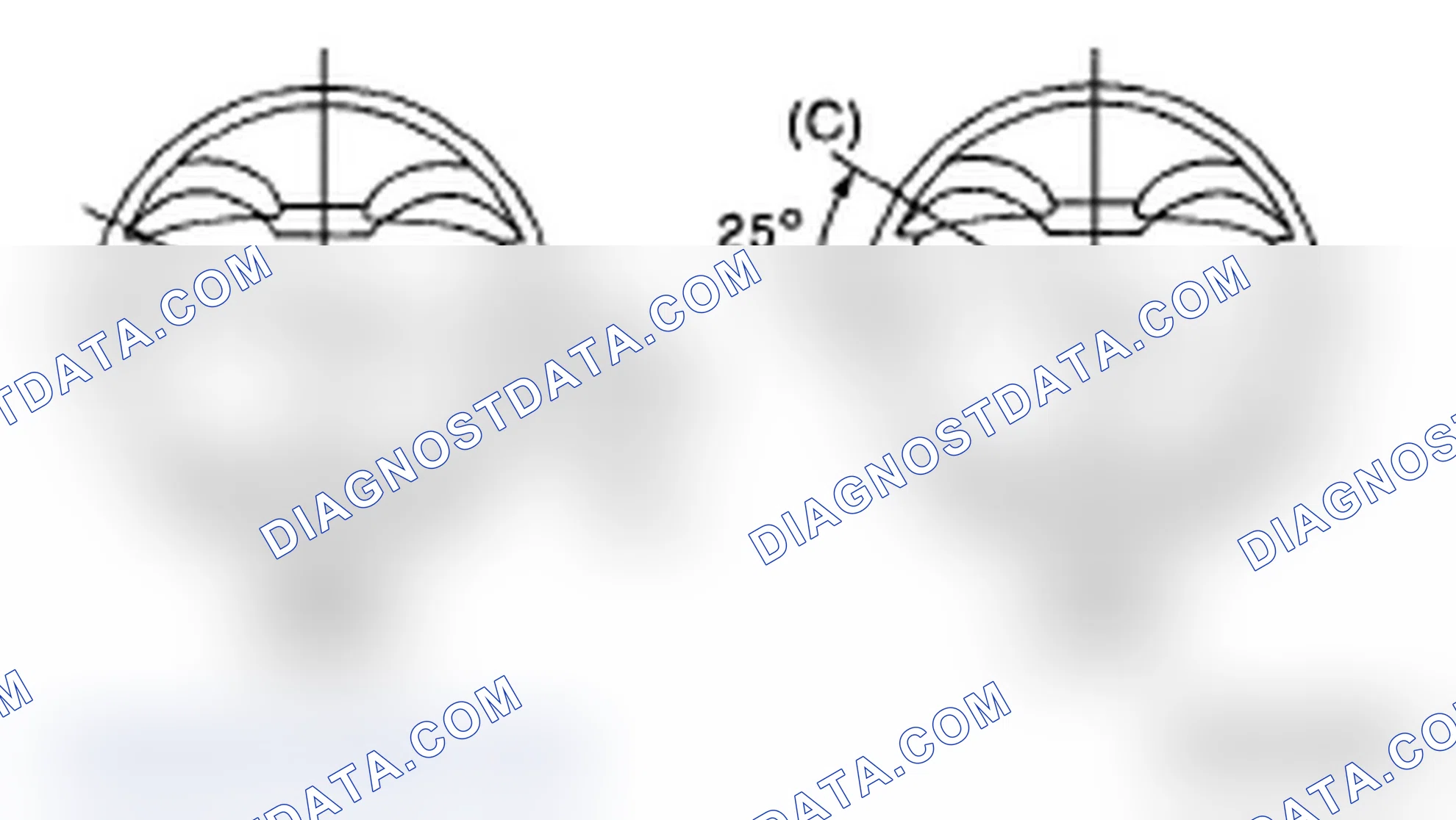 Scheme 206