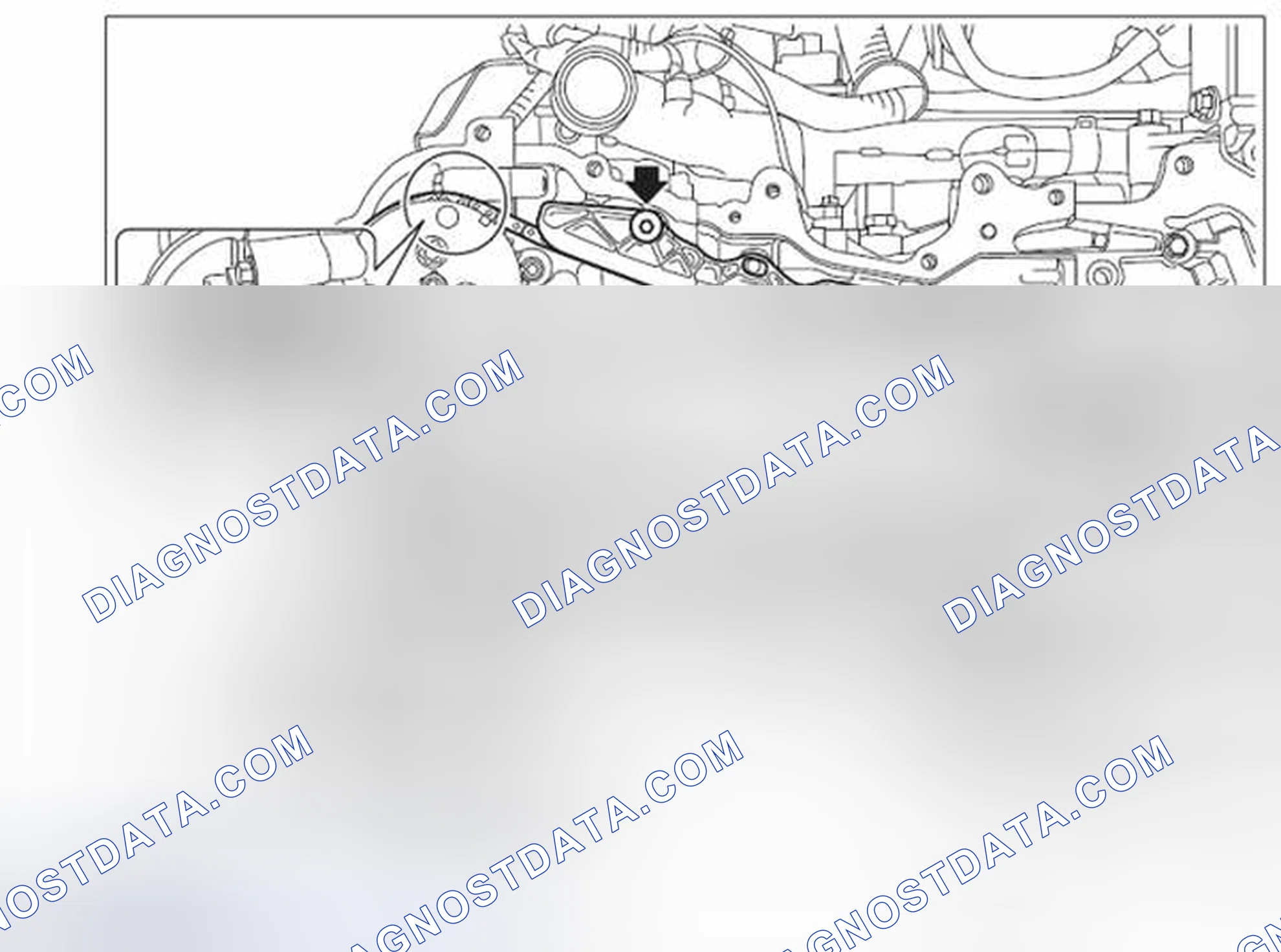 Scheme 205