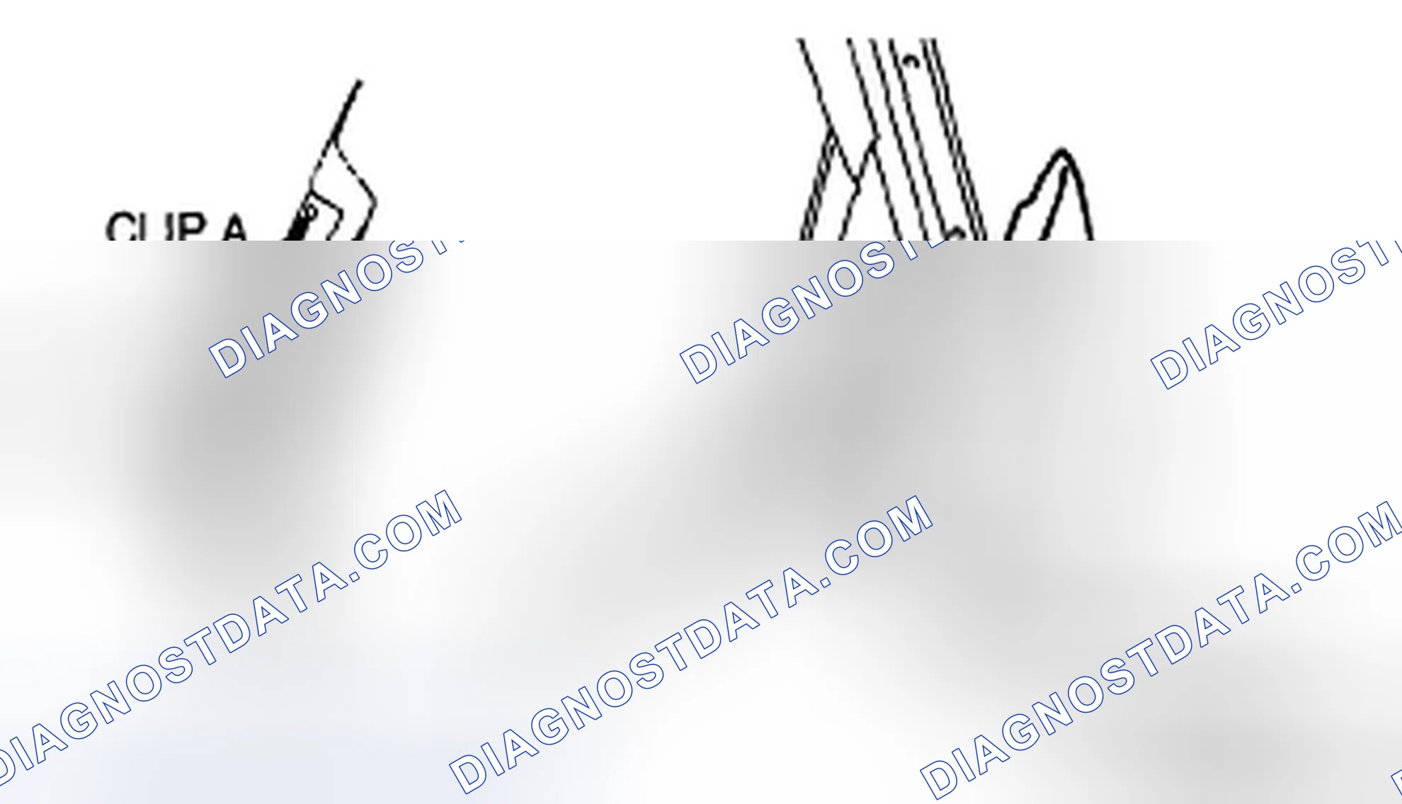 Scheme 50: SAIL GARNISH REMOVAL/INSTALLATION