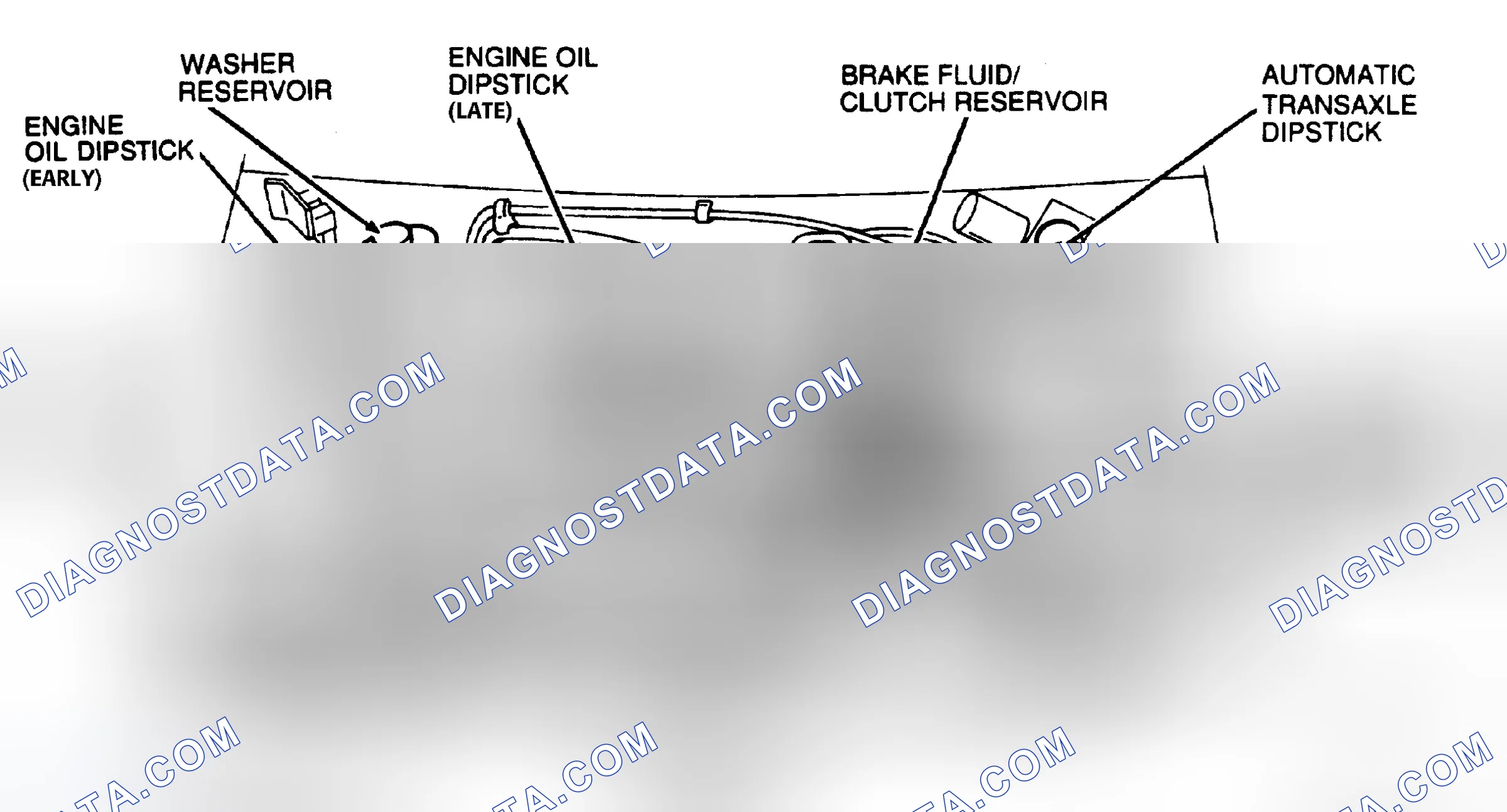 Scheme 6