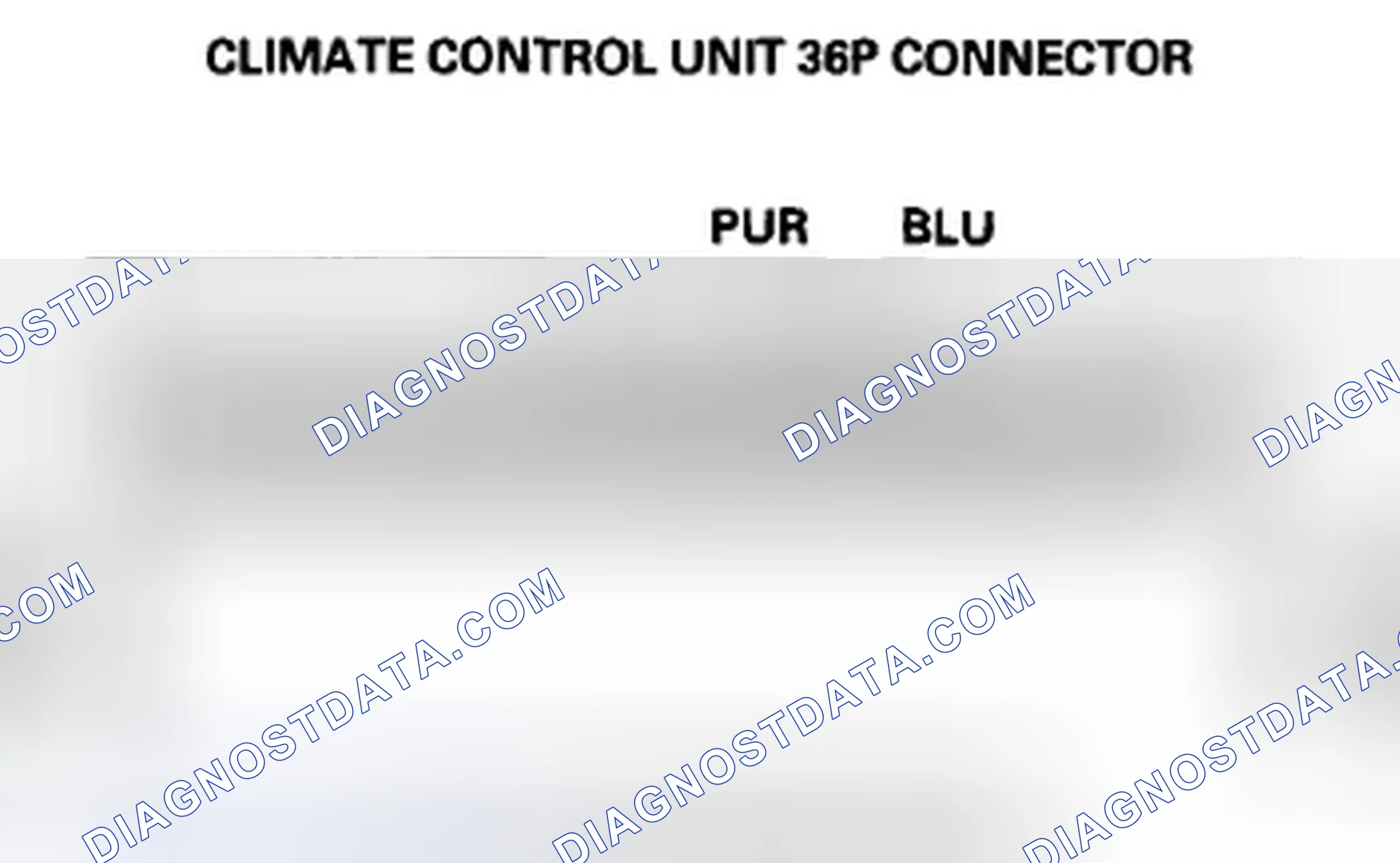 Scheme 146